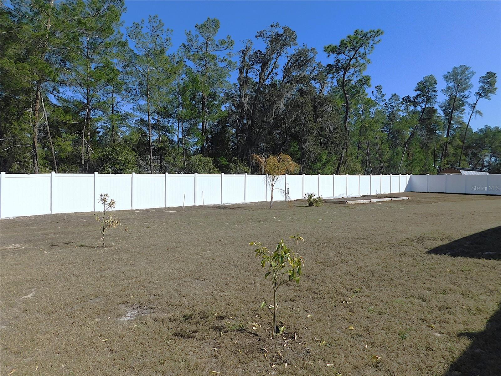 17477 SW 36TH TER, OCALA, FL, 34473