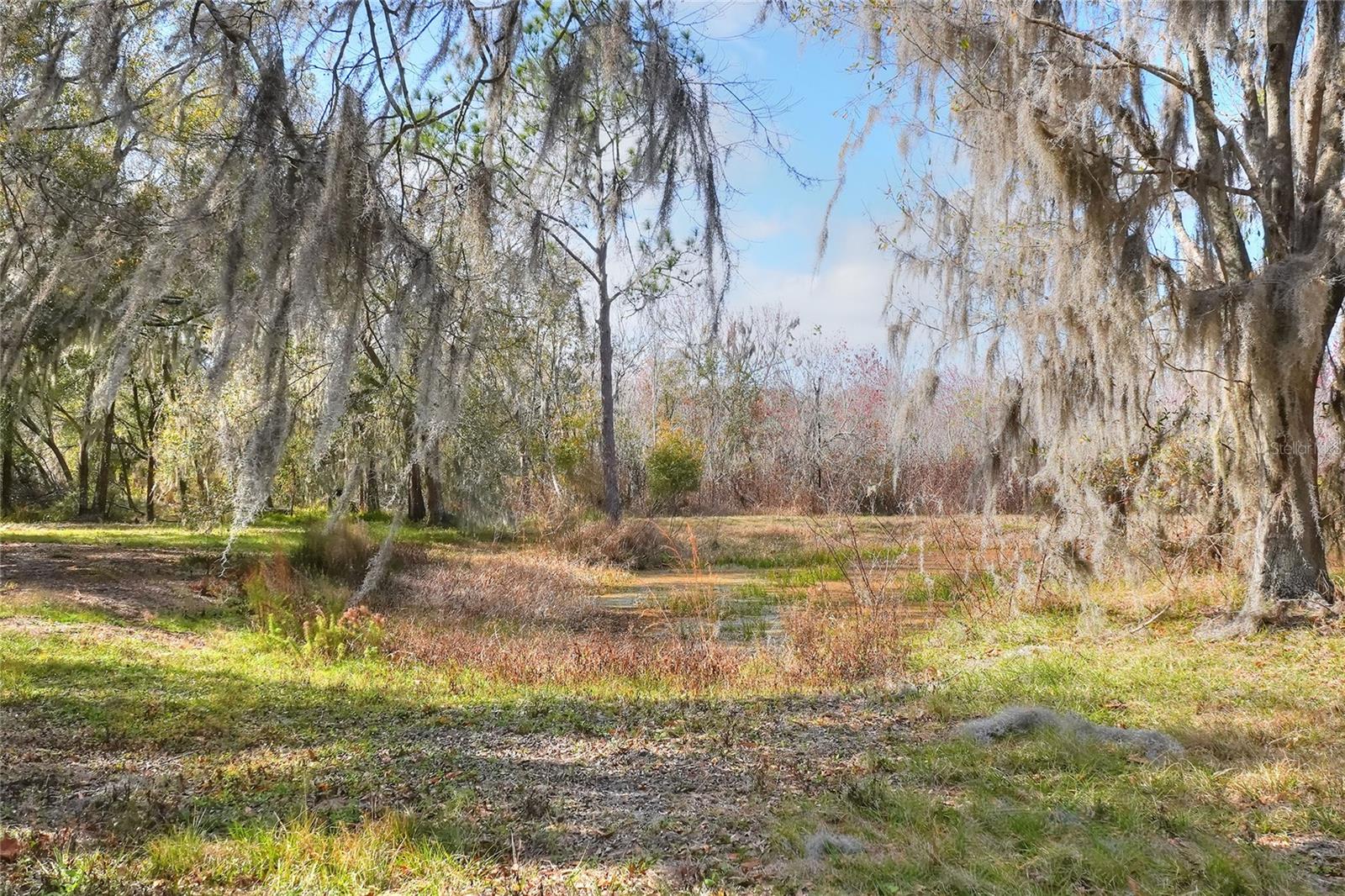 4535 MEADOWVIEW DR, LAKELAND, FL, 33810