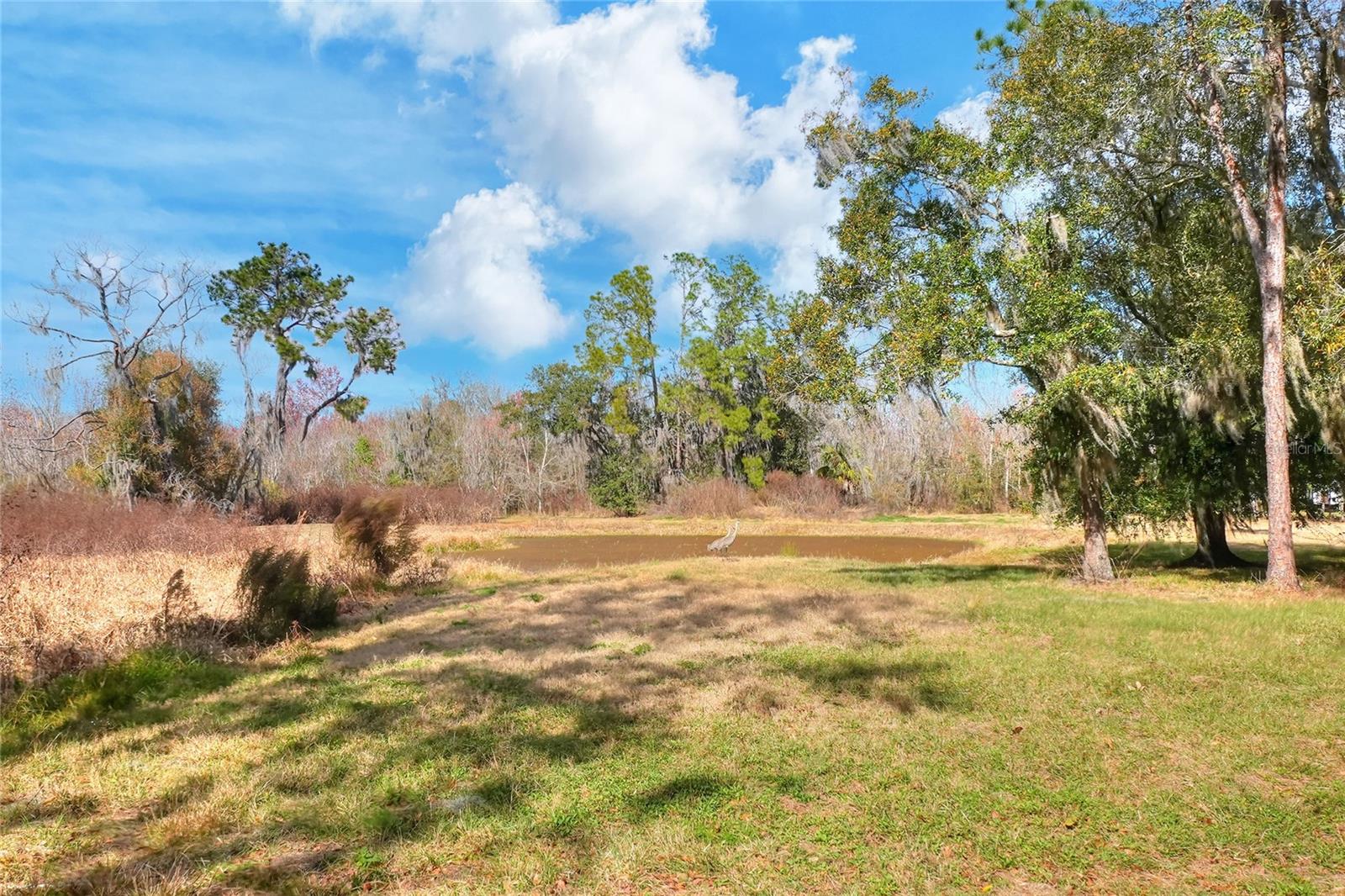 4535 MEADOWVIEW DR, LAKELAND, FL, 33810