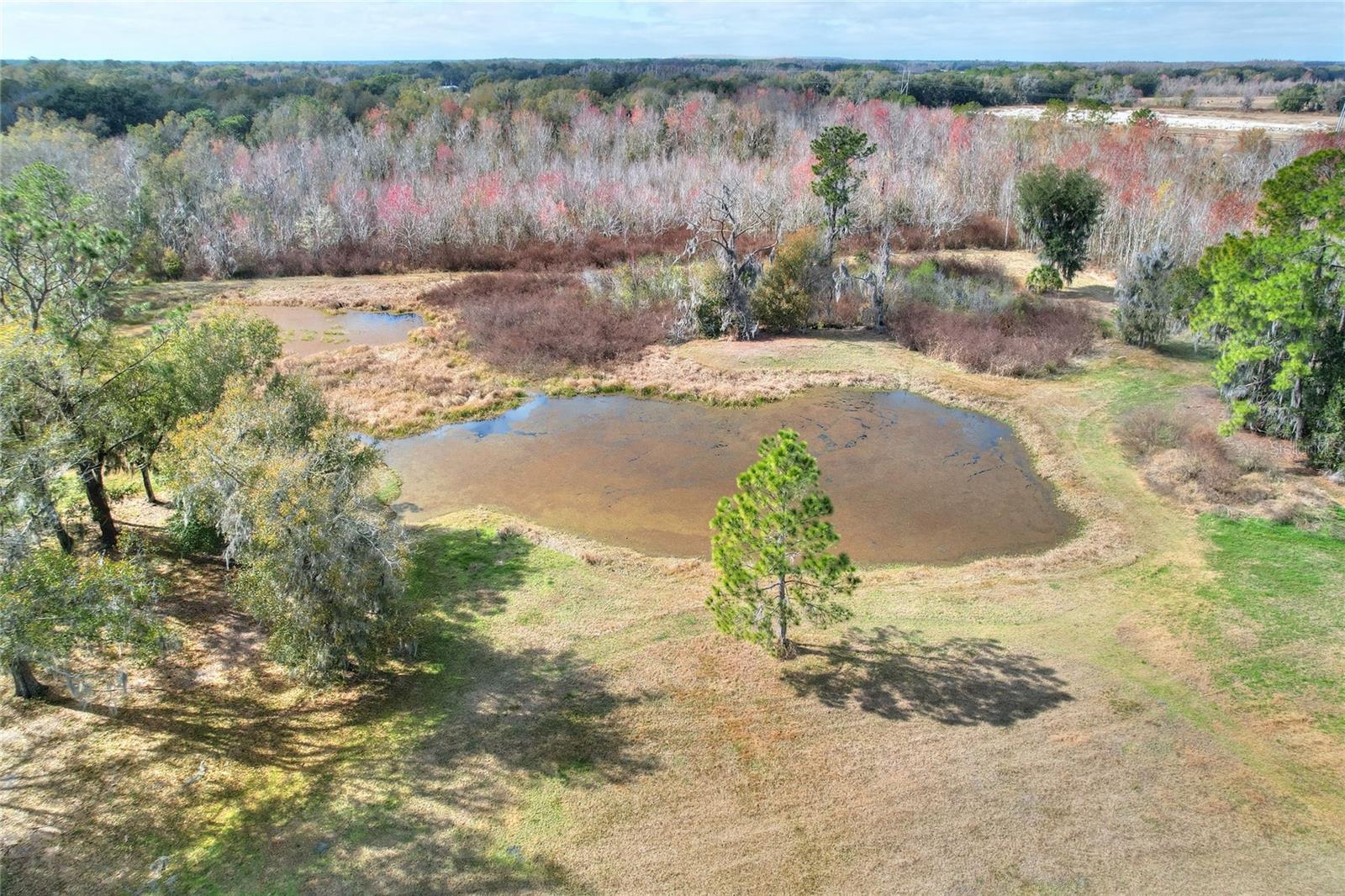 4535 MEADOWVIEW DR, LAKELAND, FL, 33810