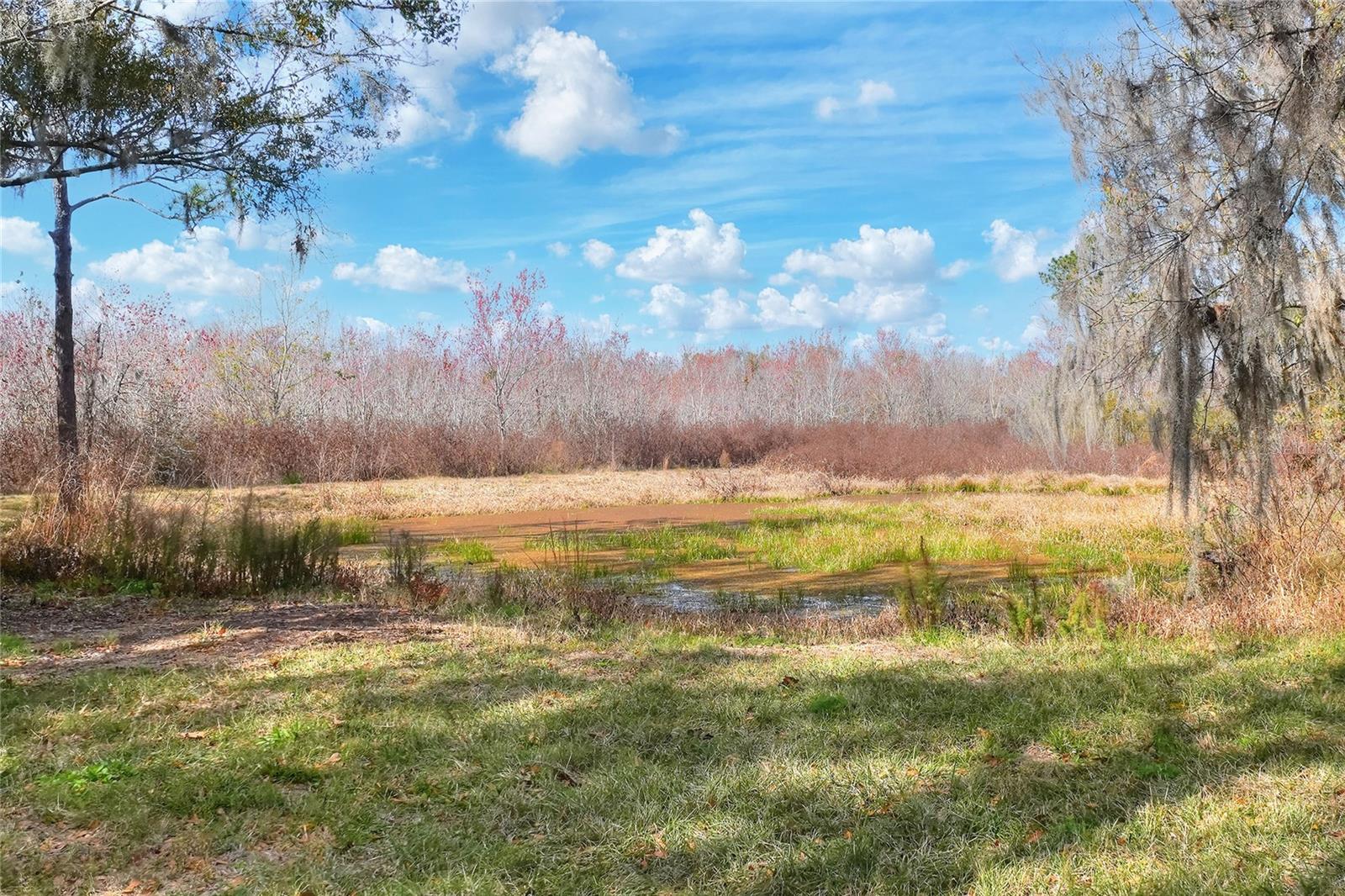 4535 MEADOWVIEW DR, LAKELAND, FL, 33810