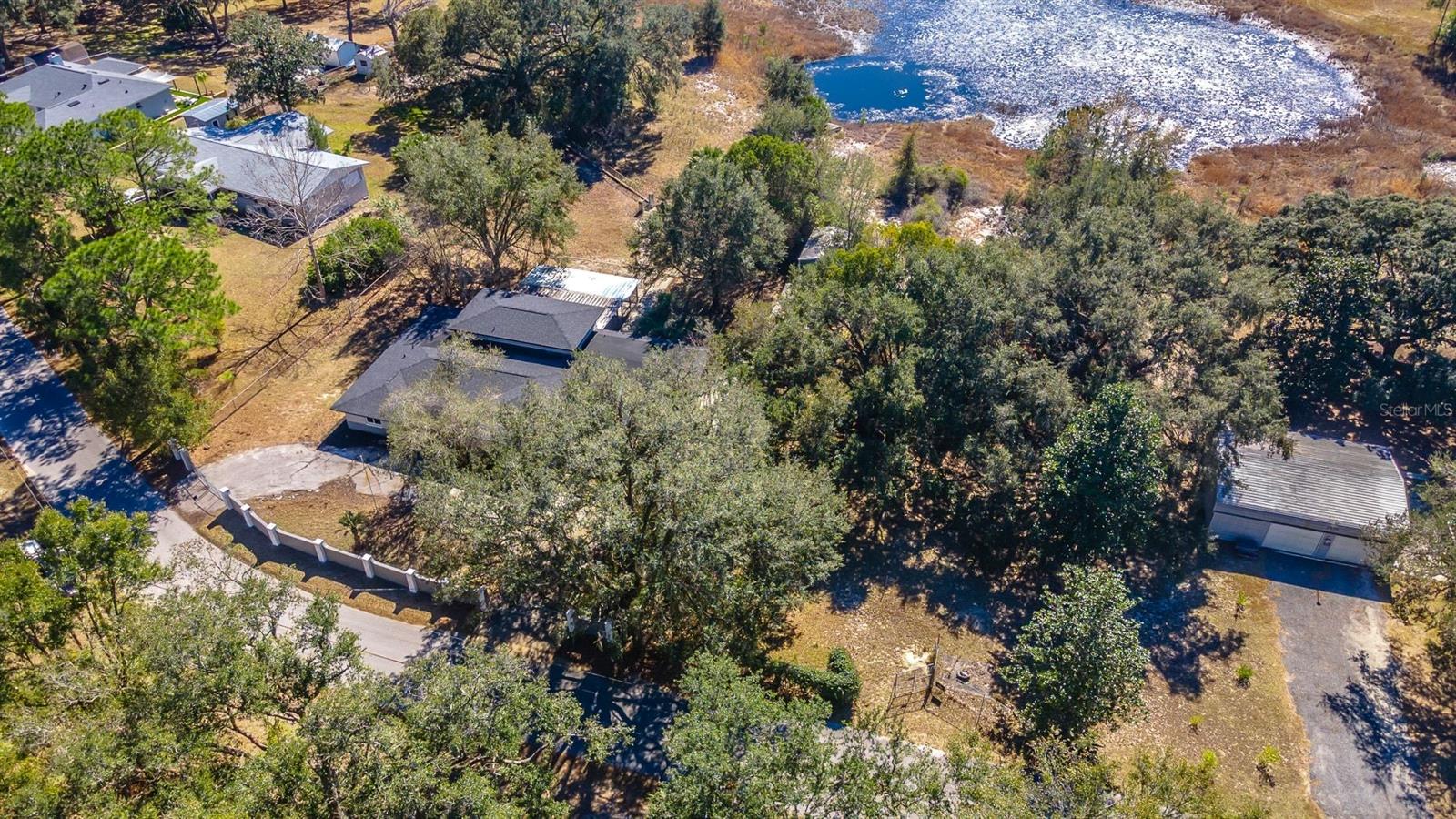 16880 SE 63RD LN, OCKLAWAHA, FL, 32179