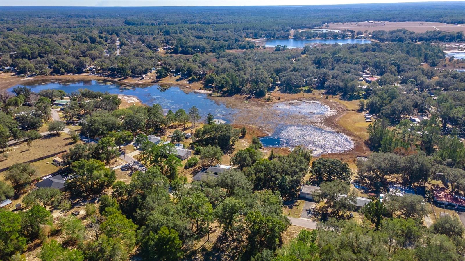 16880 SE 63RD LN, OCKLAWAHA, FL, 32179