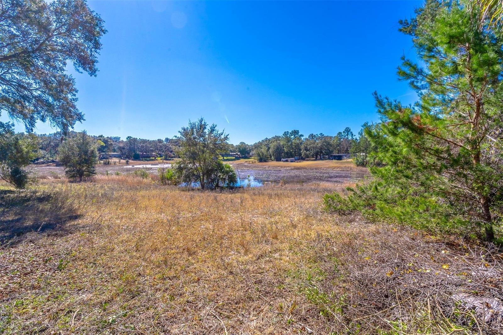 16880 SE 63RD LN, OCKLAWAHA, FL, 32179