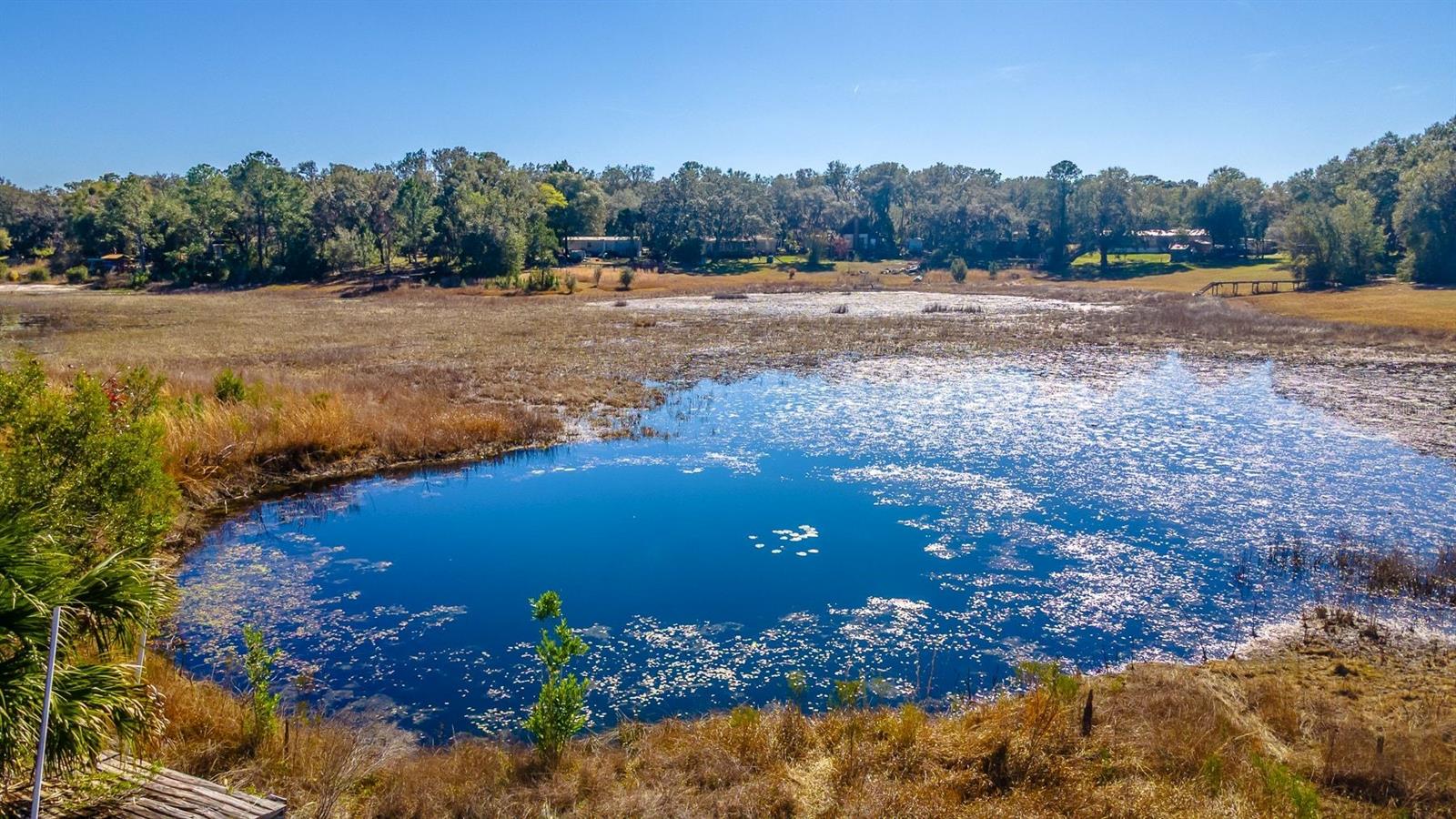 16880 SE 63RD LN, OCKLAWAHA, FL, 32179