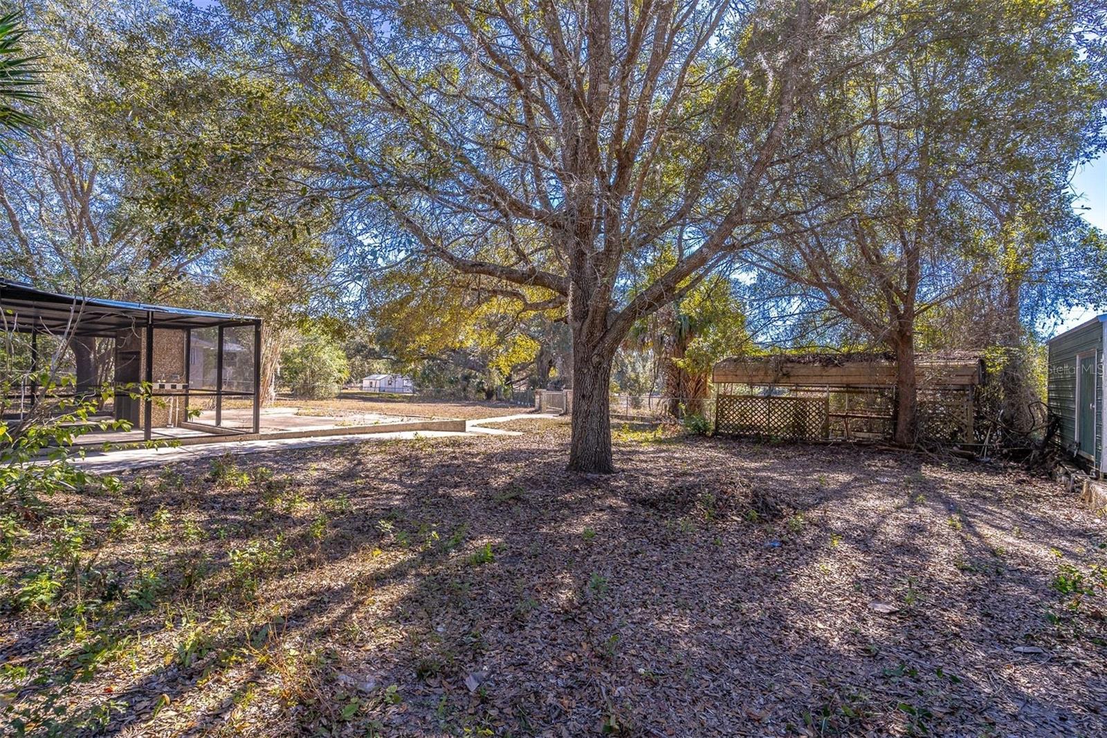 16880 SE 63RD LN, OCKLAWAHA, FL, 32179