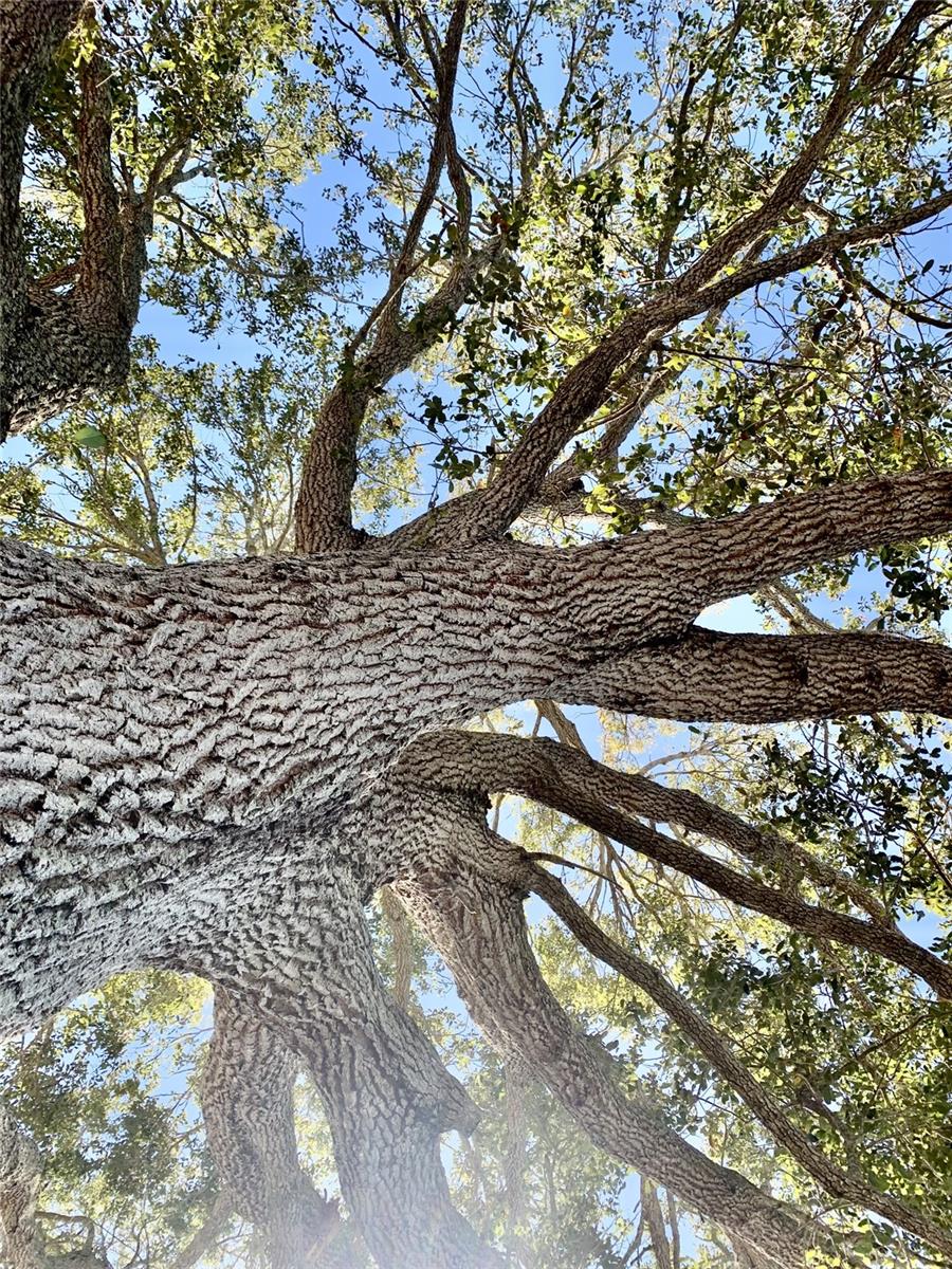 4904 27TH AVE W, BRADENTON, FL, 34209