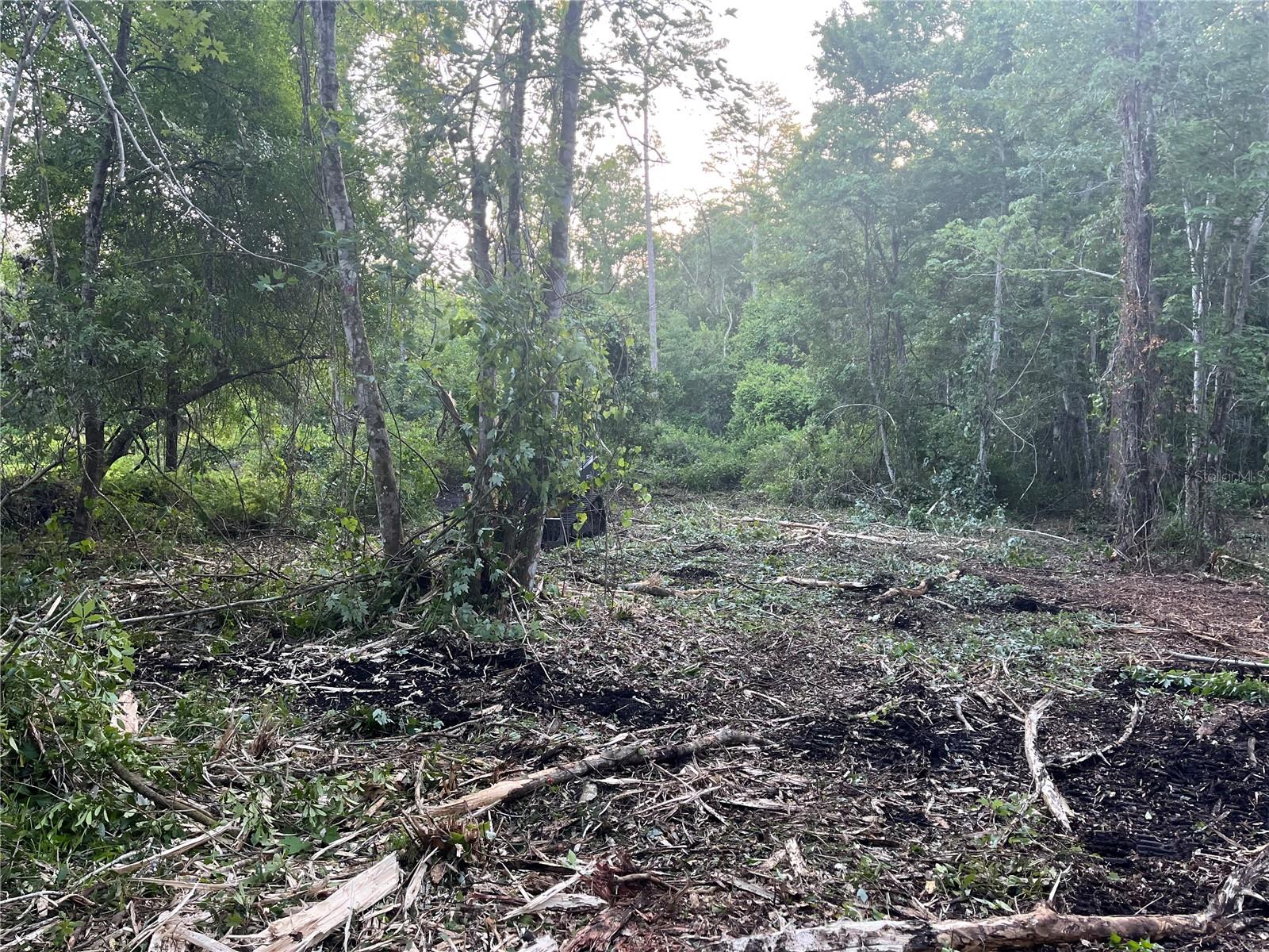 10117 ORLAND ST, NEW PORT RICHEY, FL, 34654