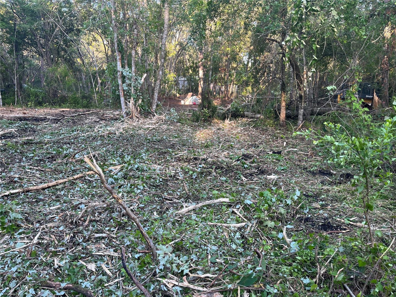 10117 ORLAND ST, NEW PORT RICHEY, FL, 34654