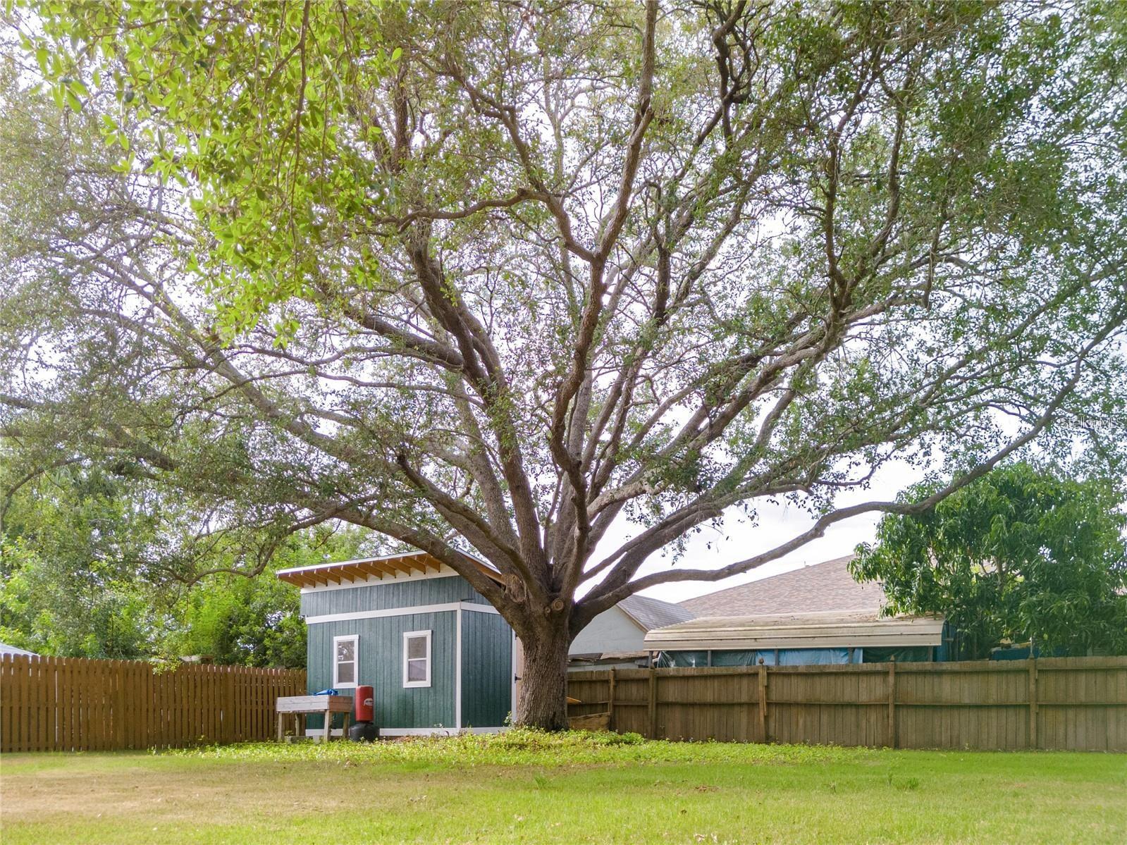 4105 W BAY AVE, TAMPA, FL, 33616