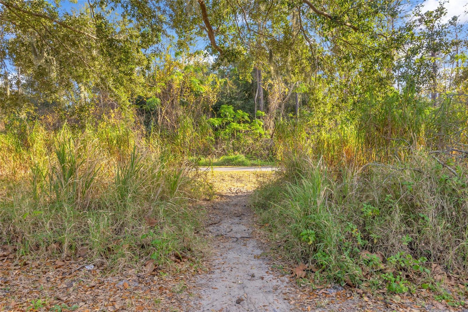 906 ALLENDALE LN, WINTER GARDEN, FL, 34787