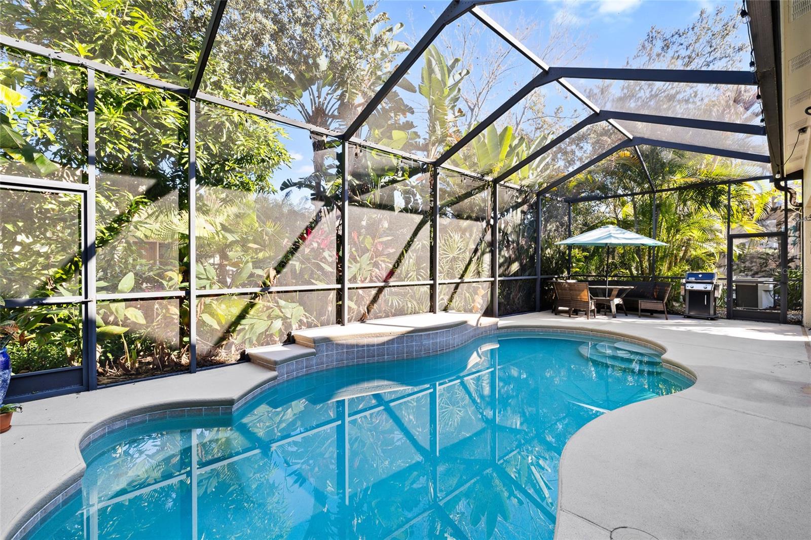 15501 MARTINMEADOW DR, LITHIA, FL, 33547