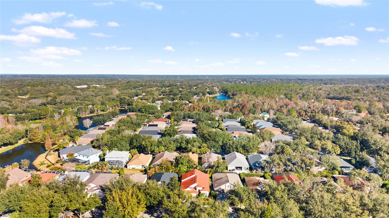 15501 MARTINMEADOW DR, LITHIA, FL, 33547