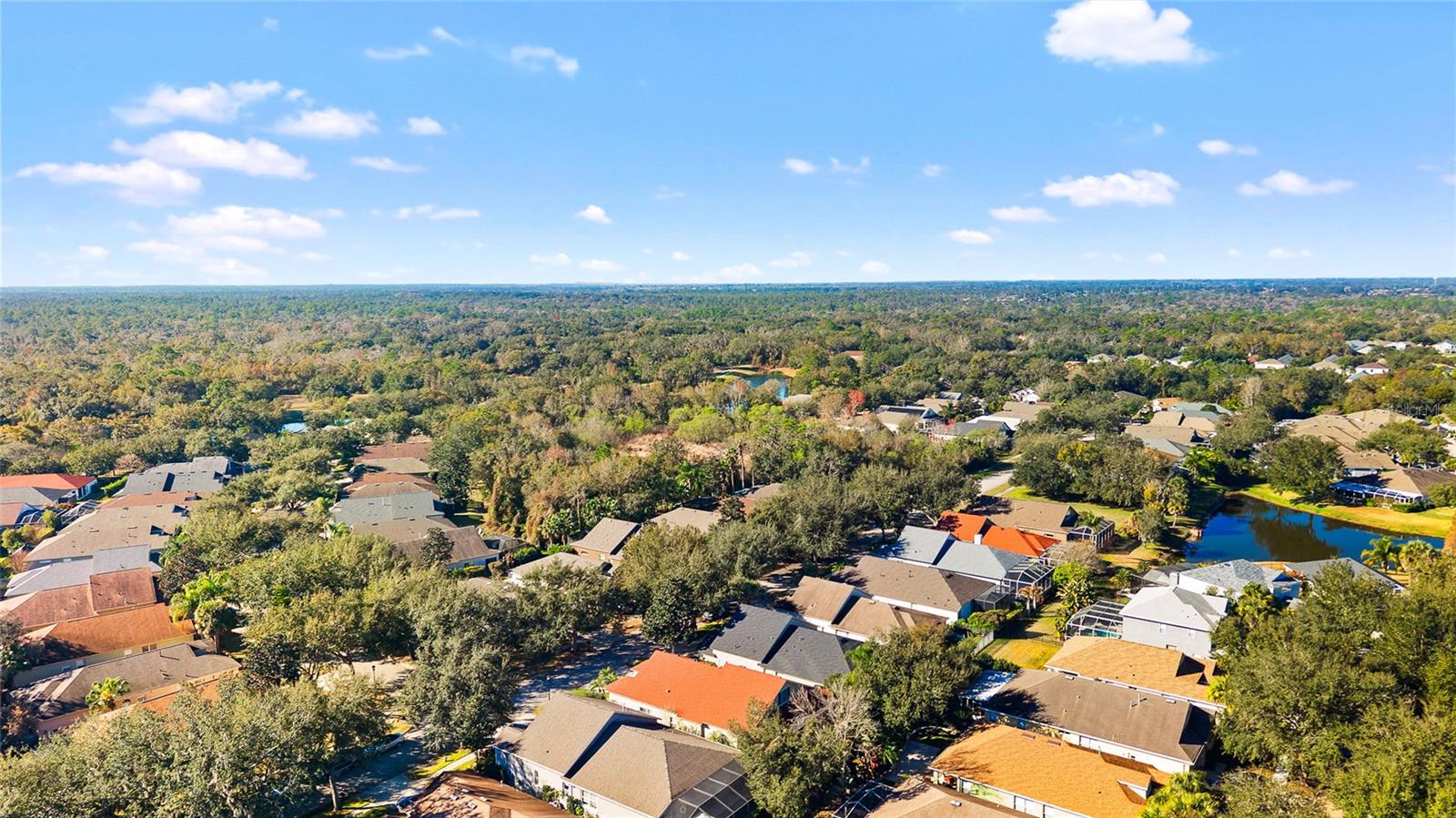 15501 MARTINMEADOW DR, LITHIA, FL, 33547