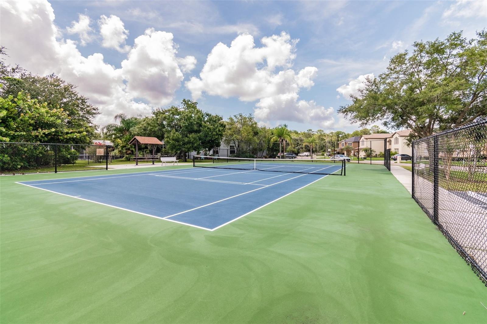 134 SYCAMORE LN #H, OLDSMAR, FL, 34677