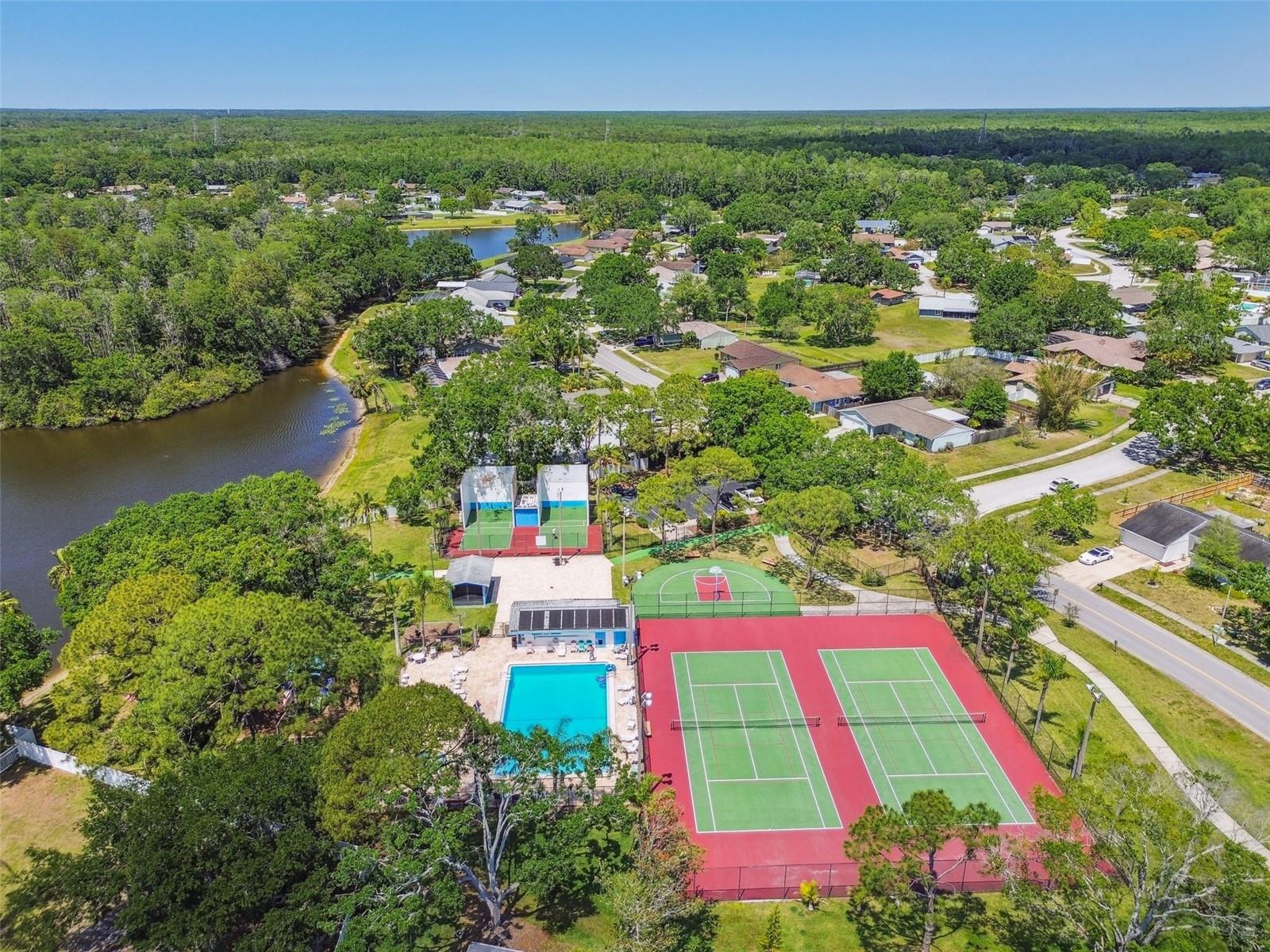 134 SYCAMORE LN #H, OLDSMAR, FL, 34677