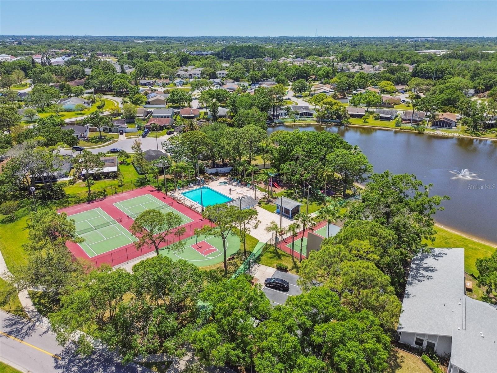 134 SYCAMORE LN #H, OLDSMAR, FL, 34677