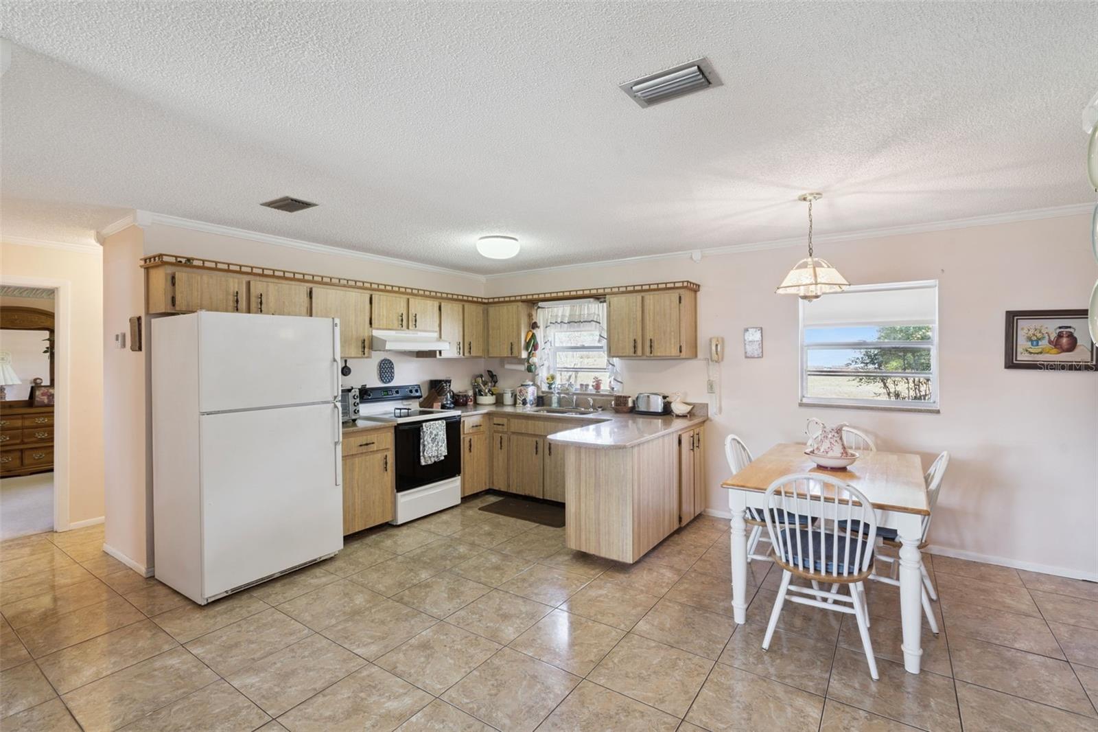 17530 COUNTY ROAD 455, MONTVERDE, FL, 34756