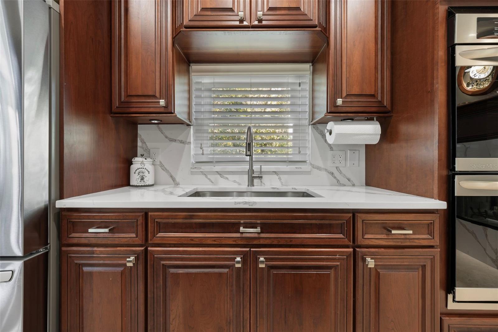 1006 LAKE COOPER DR, LUTZ, FL, 33548