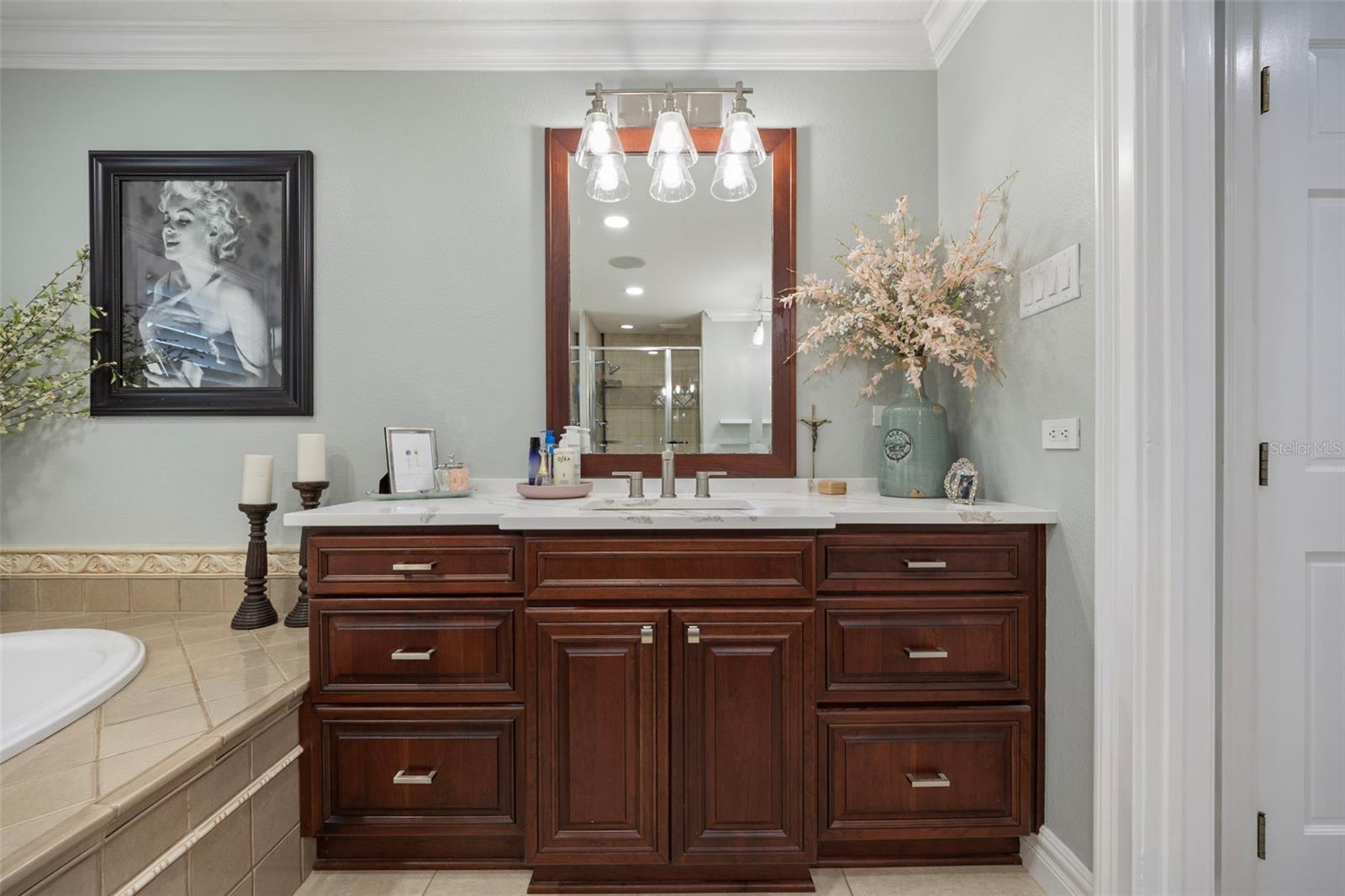 1006 LAKE COOPER DR, LUTZ, FL, 33548