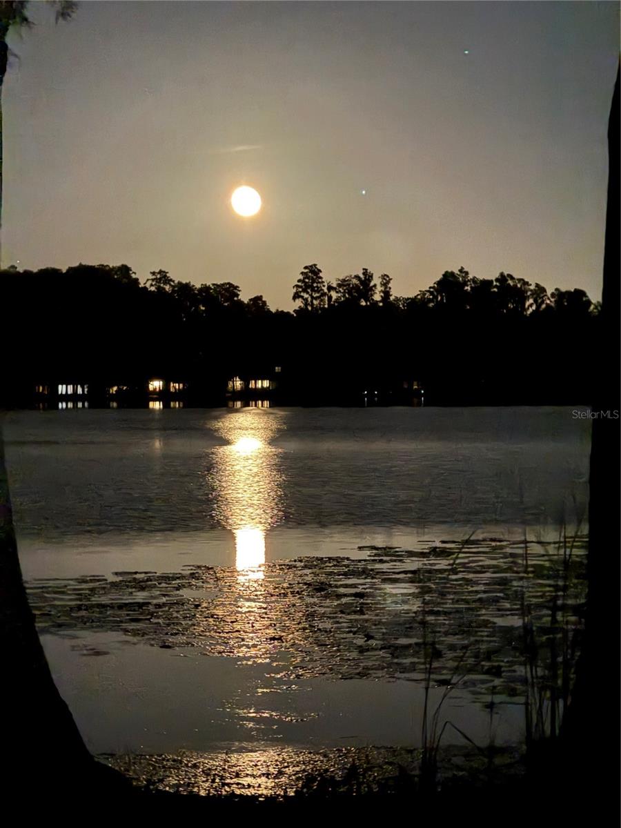 1006 LAKE COOPER DR, LUTZ, FL, 33548