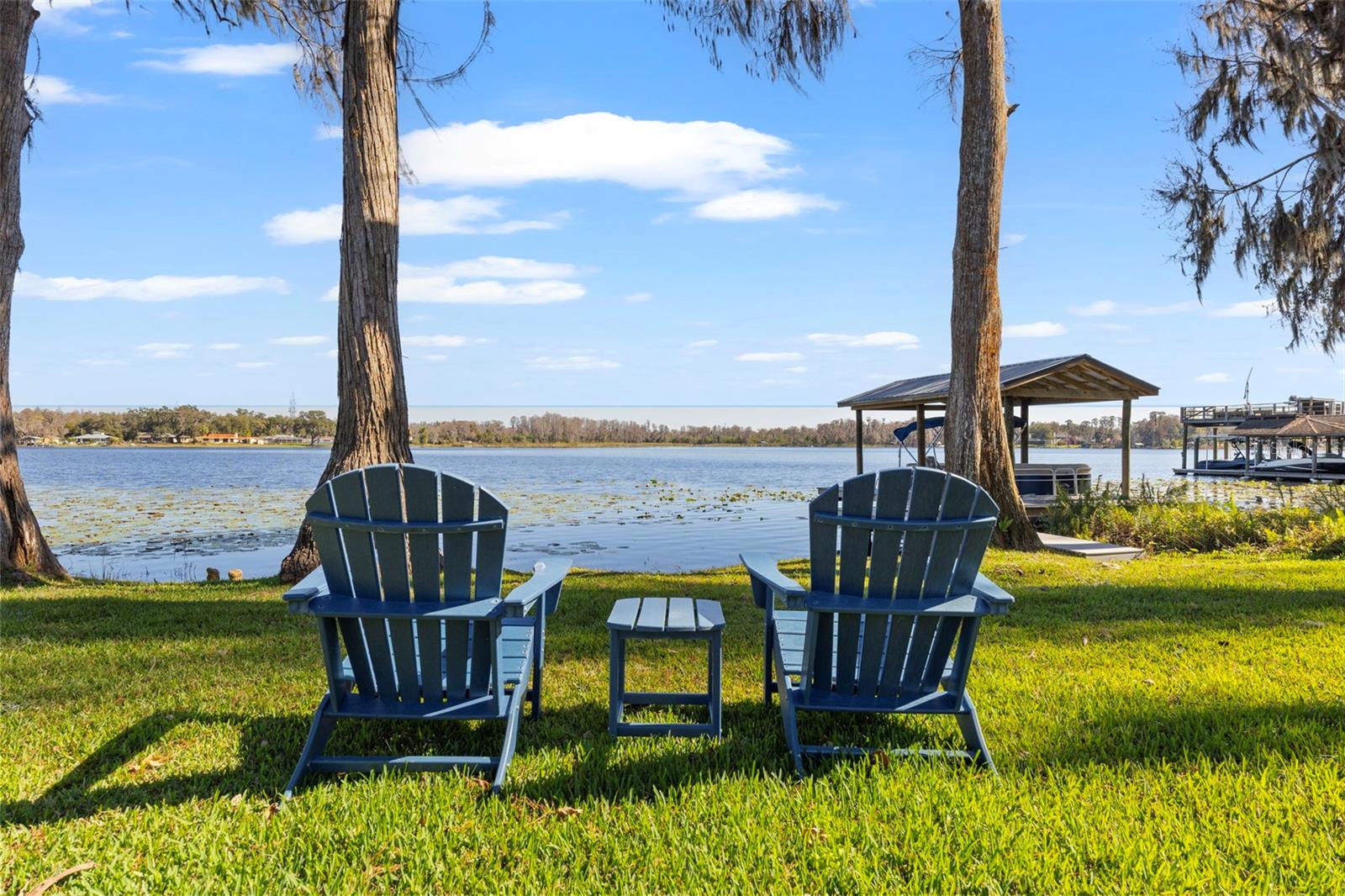 1006 LAKE COOPER DR, LUTZ, FL, 33548