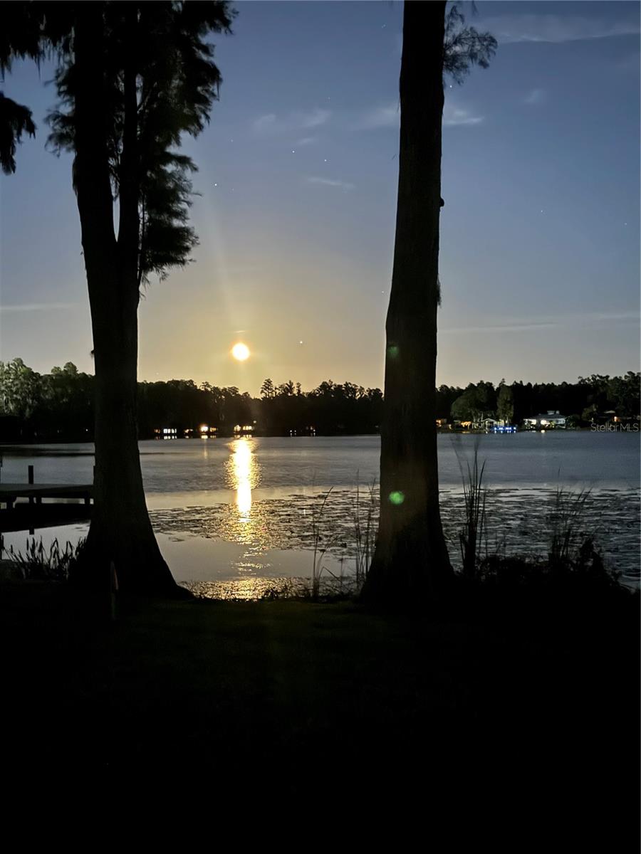1006 LAKE COOPER DR, LUTZ, FL, 33548