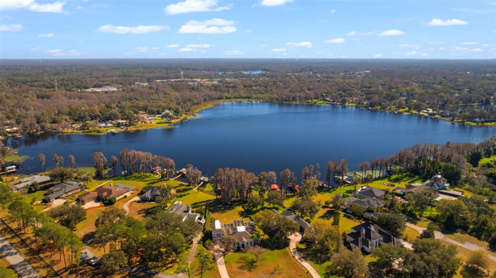 1006 LAKE COOPER DR, LUTZ, FL, 33548