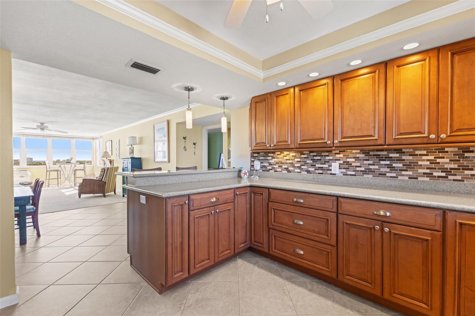 5130 BRITTANY DR S #808, ST PETERSBURG, FL, 33715