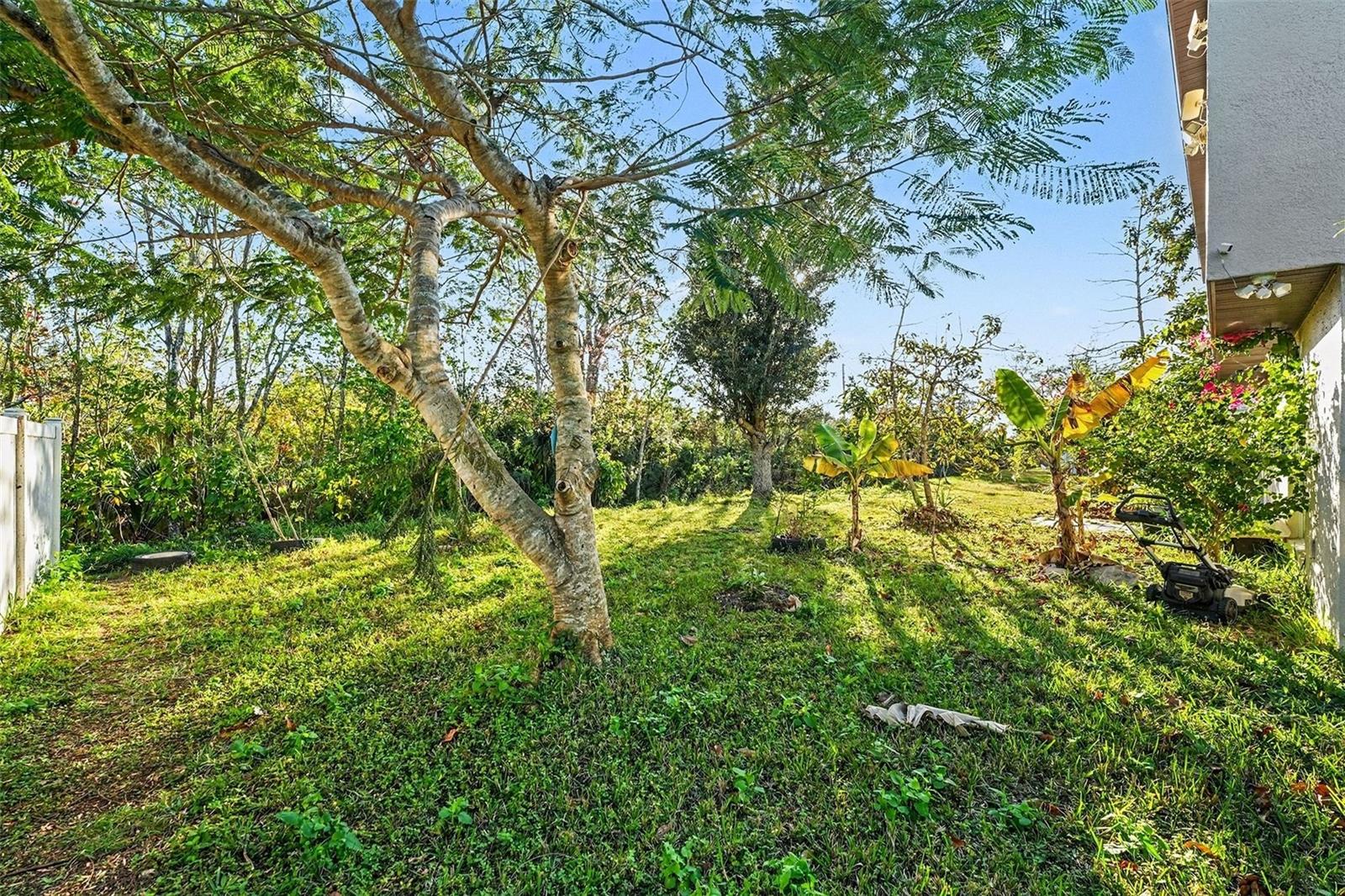 2355 ANDREWS VALLEY DR, KISSIMMEE, FL, 34758