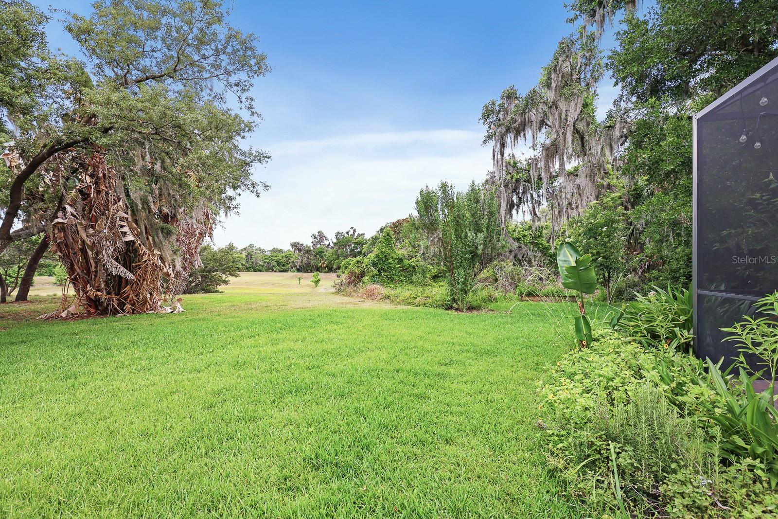 15239 KESTRELRISE DR, LITHIA, FL, 33547
