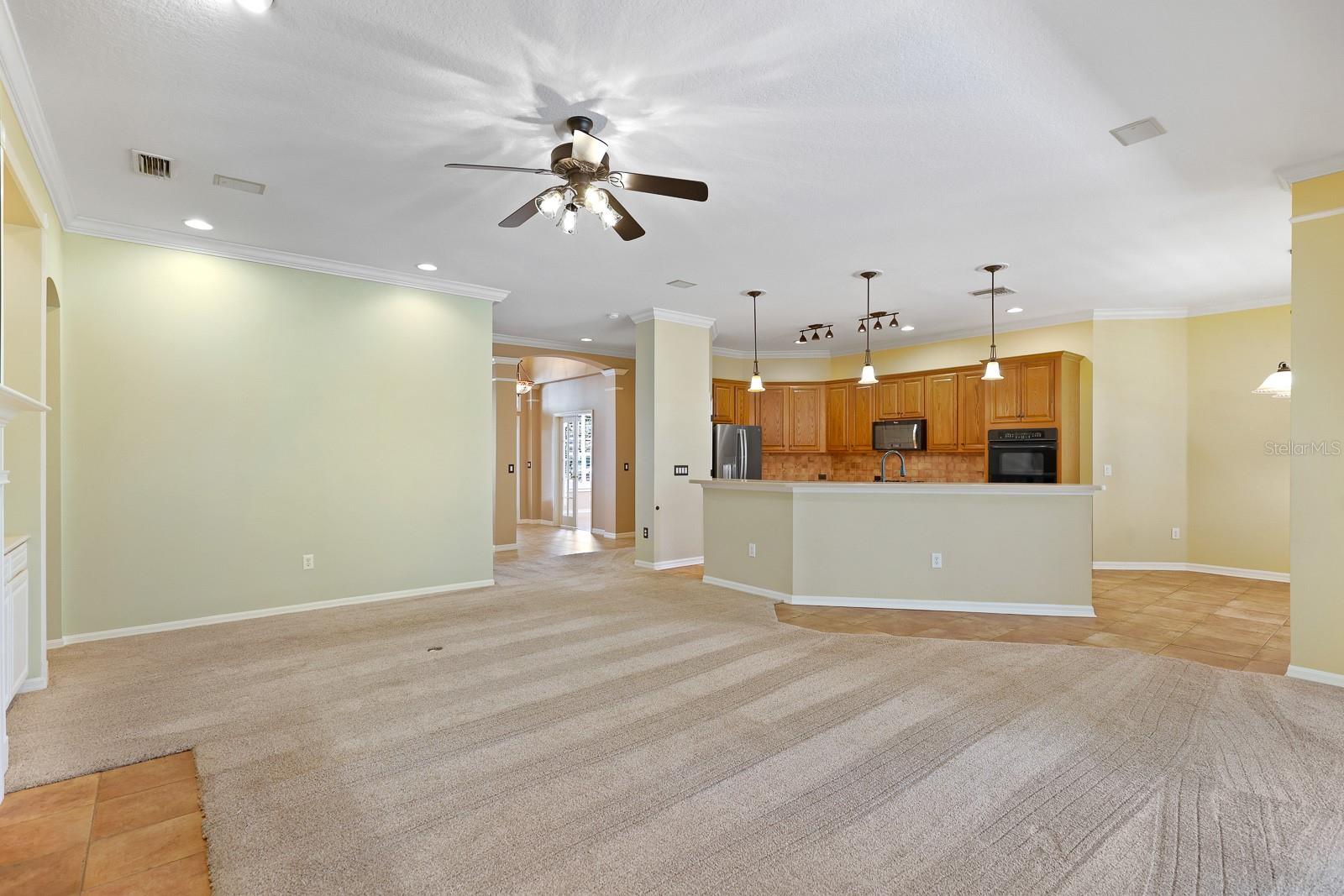 15239 KESTRELRISE DR, LITHIA, FL, 33547