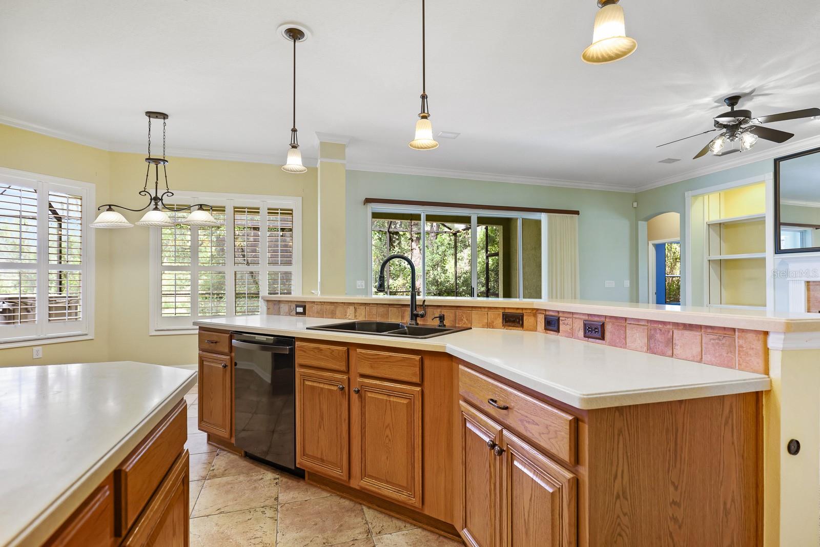 15239 KESTRELRISE DR, LITHIA, FL, 33547