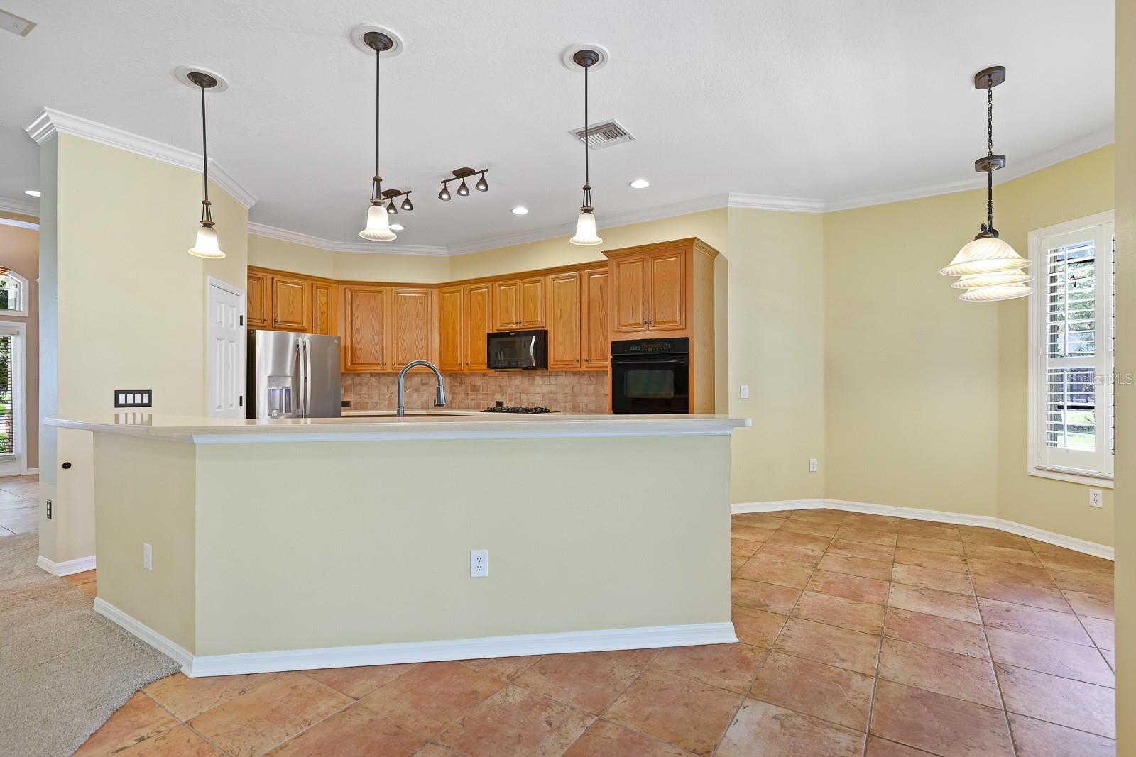 15239 KESTRELRISE DR, LITHIA, FL, 33547