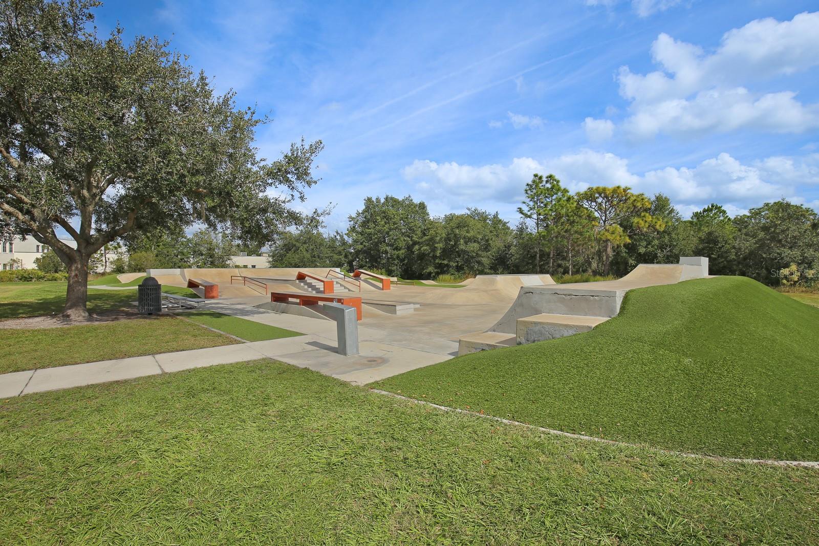 15239 KESTRELRISE DR, LITHIA, FL, 33547