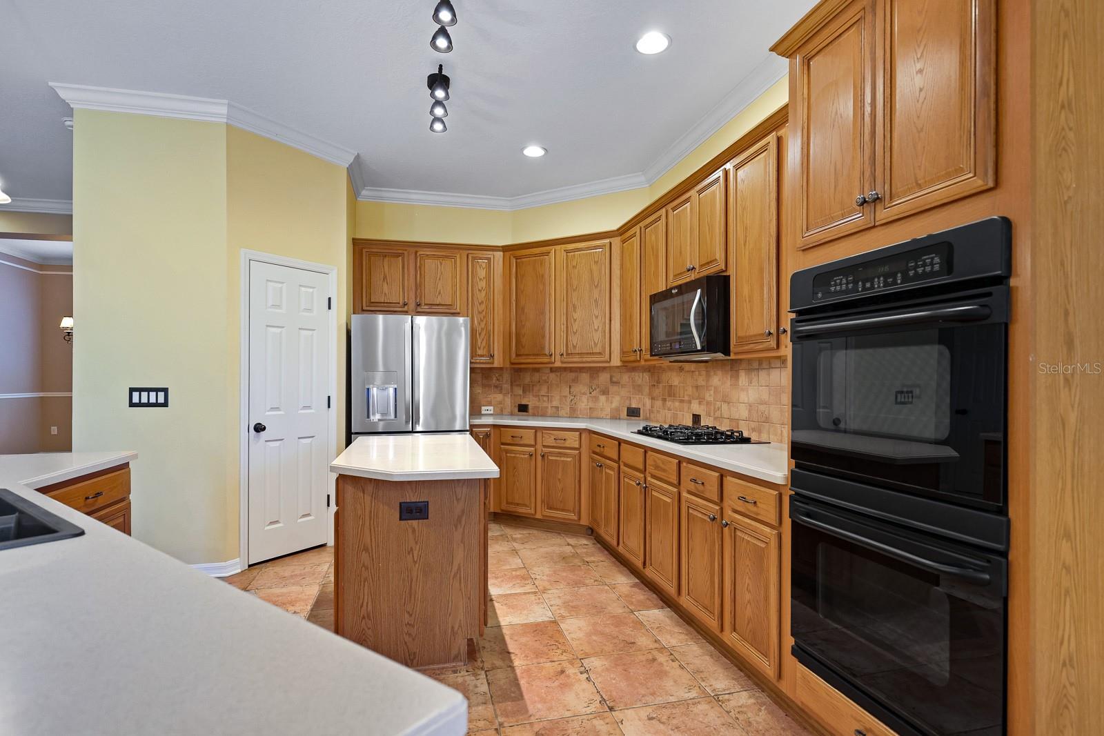 15239 KESTRELRISE DR, LITHIA, FL, 33547