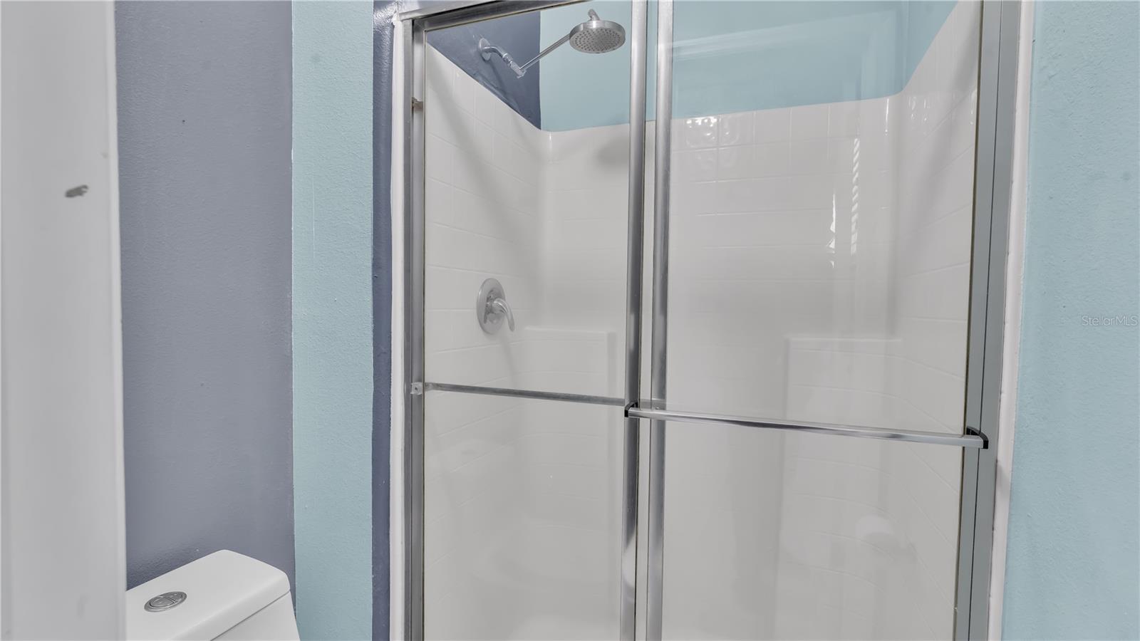 30244 BIRDHOUSE DR, WESLEY CHAPEL, FL, 33545