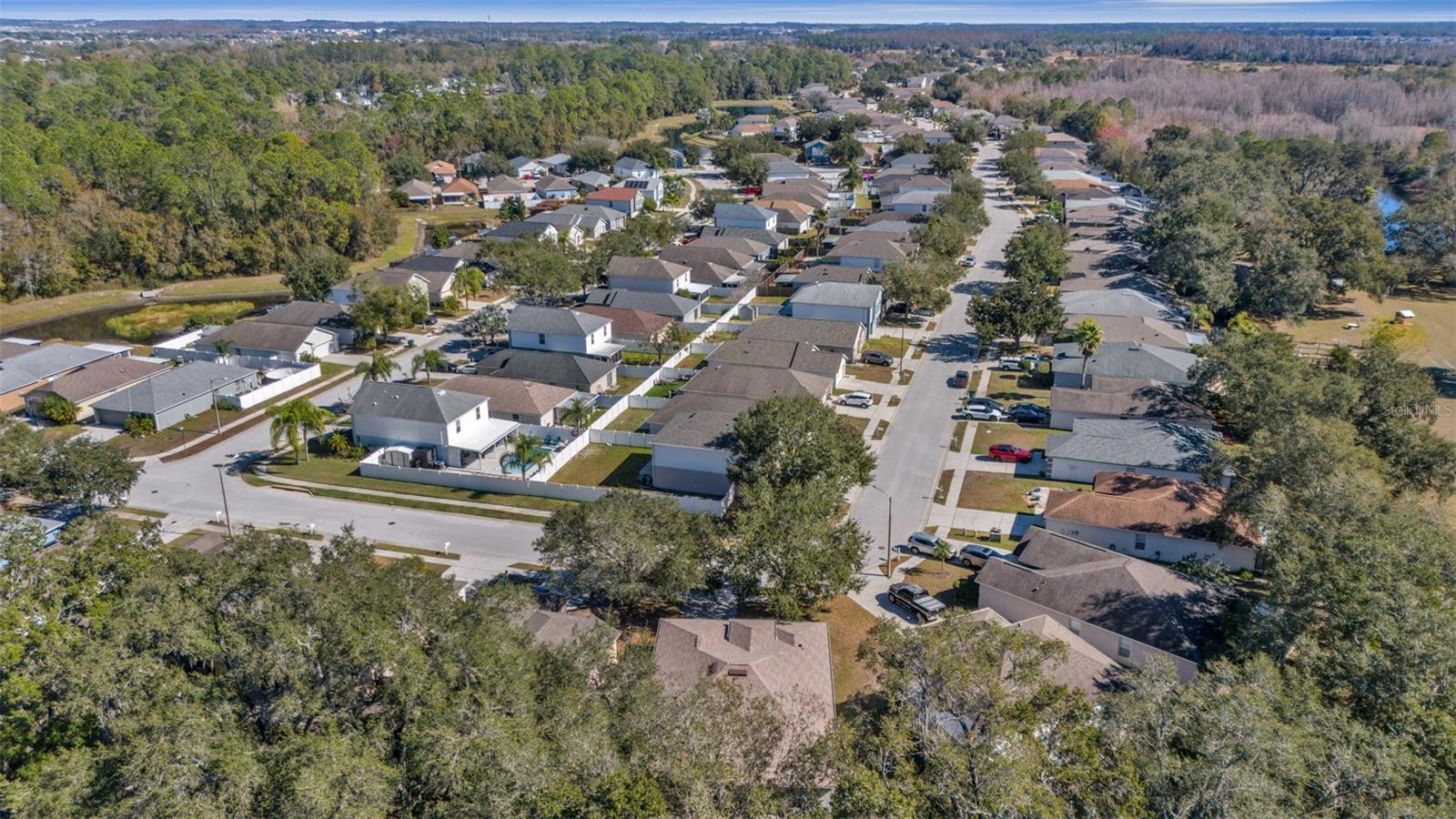 30244 BIRDHOUSE DR, WESLEY CHAPEL, FL, 33545