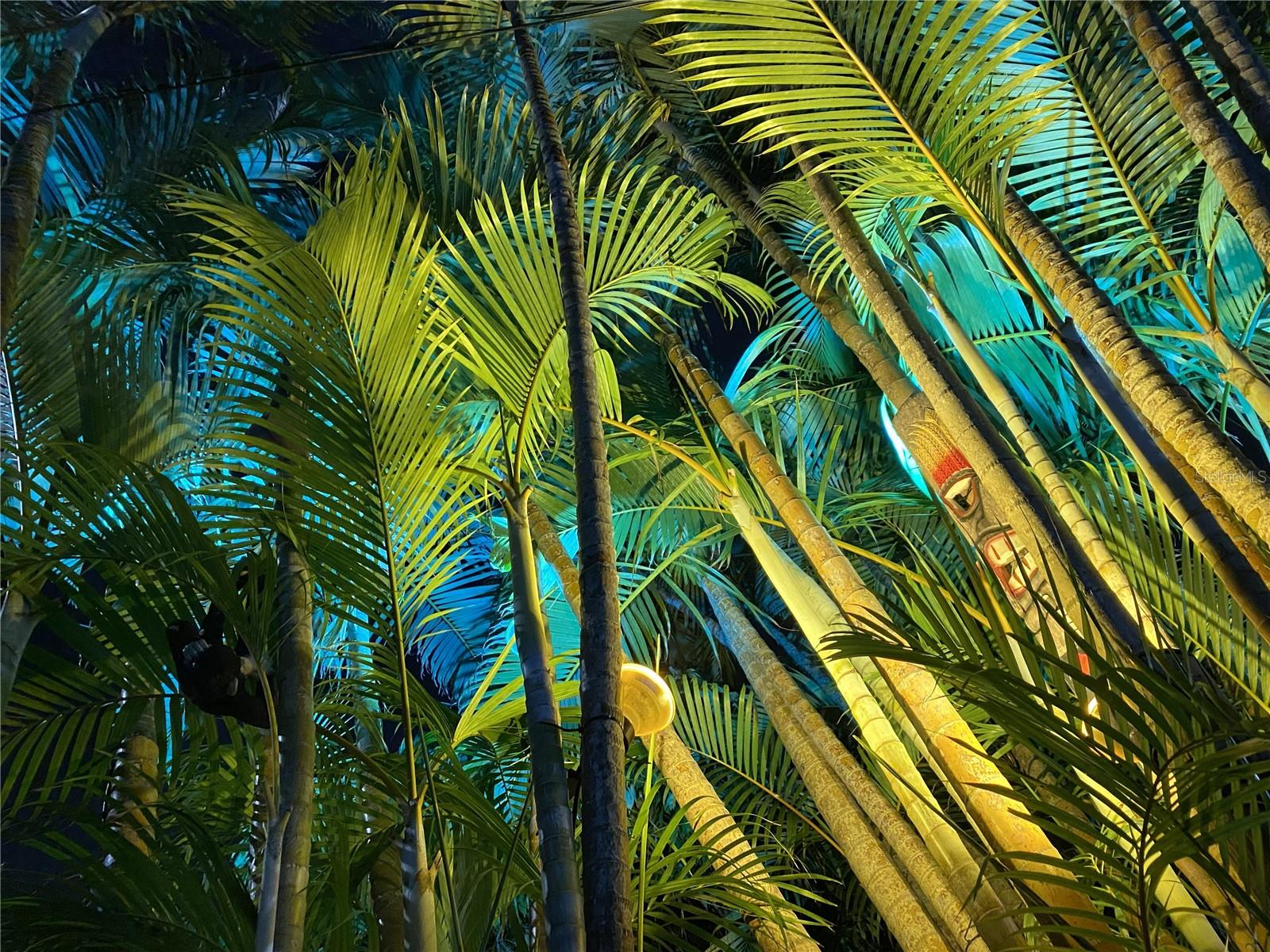 2300 37TH AVE N, ST PETERSBURG, FL, 33713