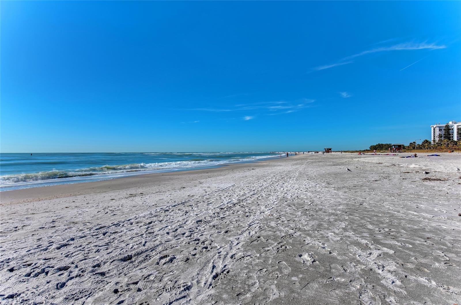 2705 S BRINK AVE, SARASOTA, FL, 34239