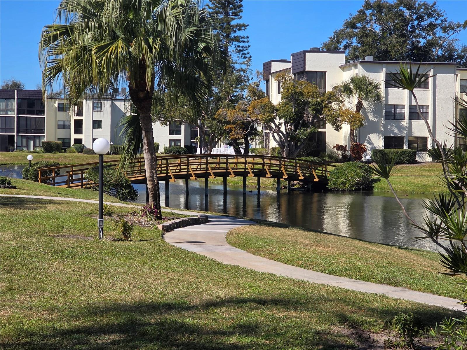 14130 ROSEMARY LN #2208, LARGO, FL, 33774