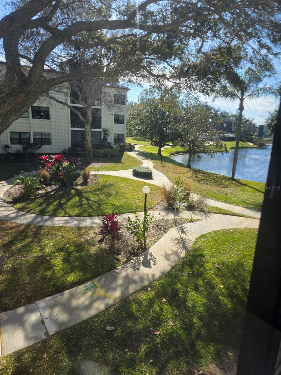 14130 ROSEMARY LN #2208, LARGO, FL, 33774