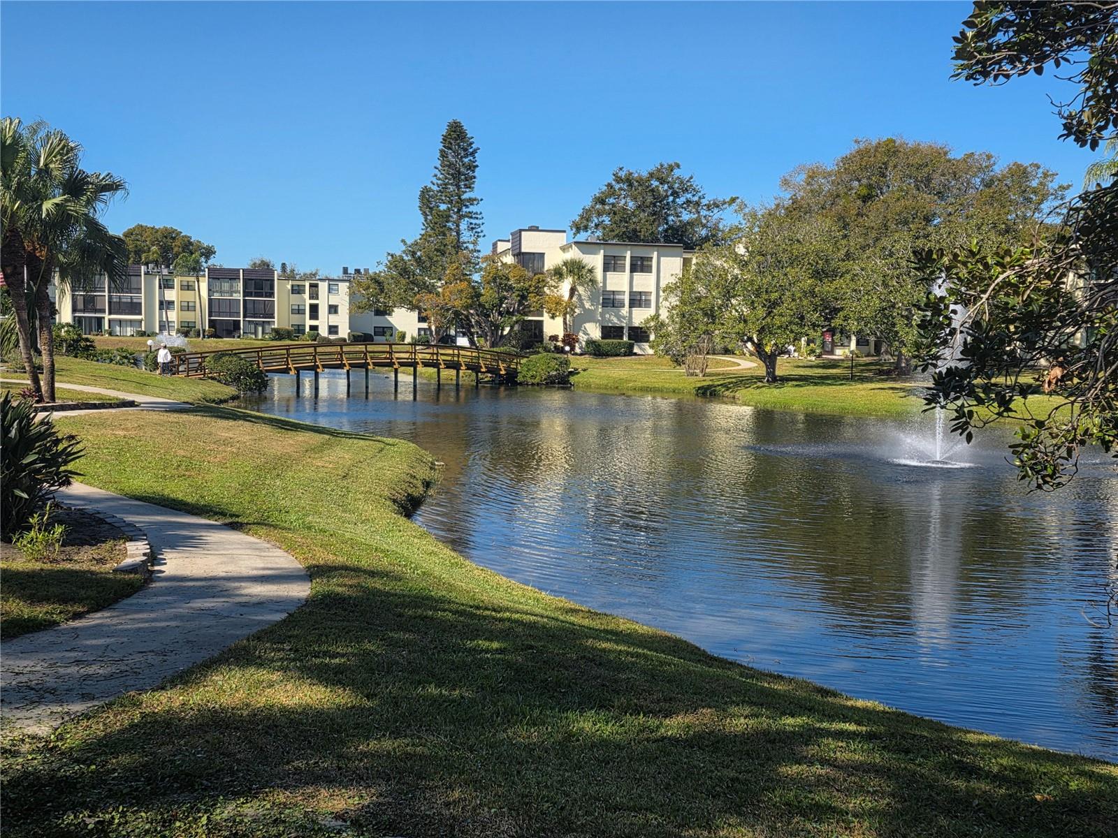 14130 ROSEMARY LN #2208, LARGO, FL, 33774