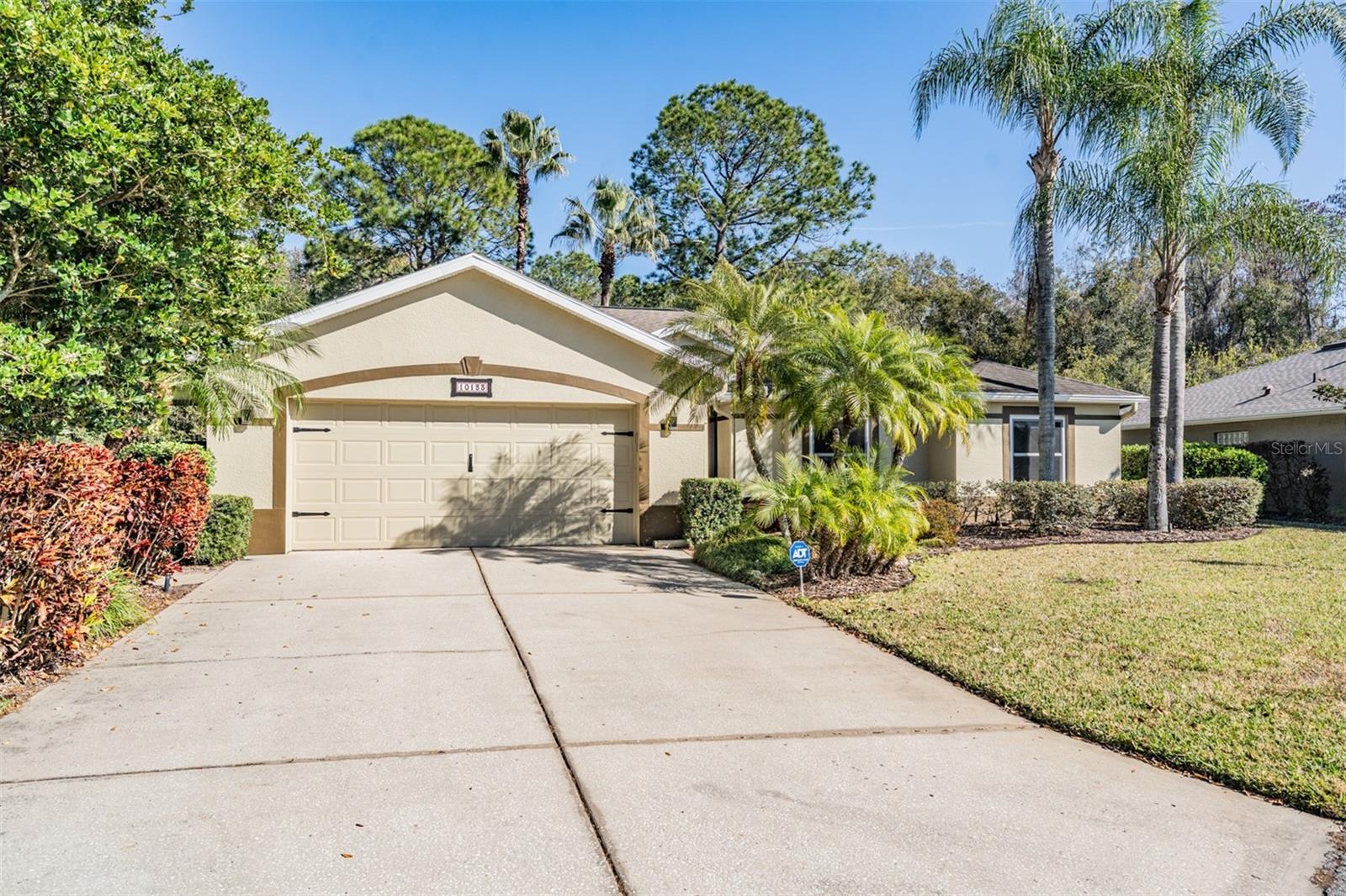 10133 COLLAR DR, SAN ANTONIO, FL, 33576