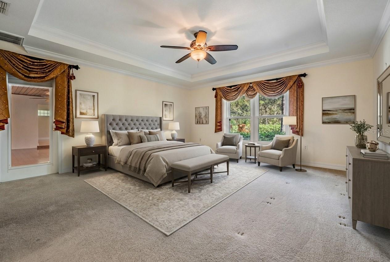 10133 COLLAR DR, SAN ANTONIO, FL, 33576