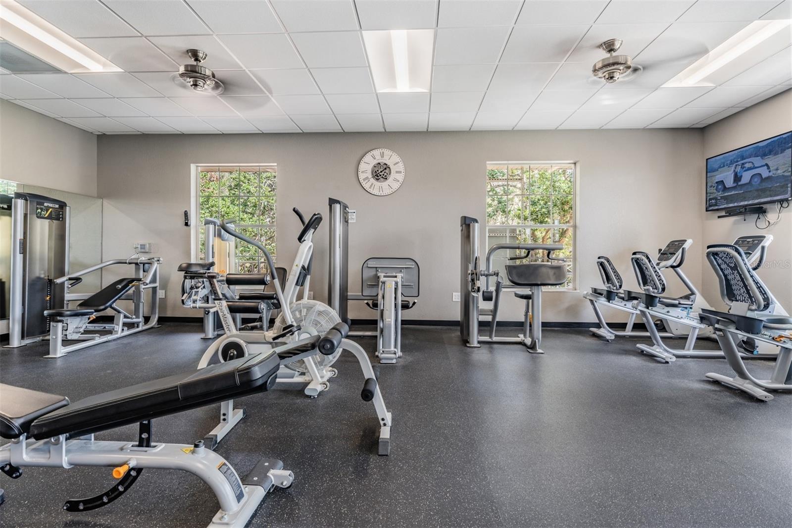 10133 COLLAR DR, SAN ANTONIO, FL, 33576