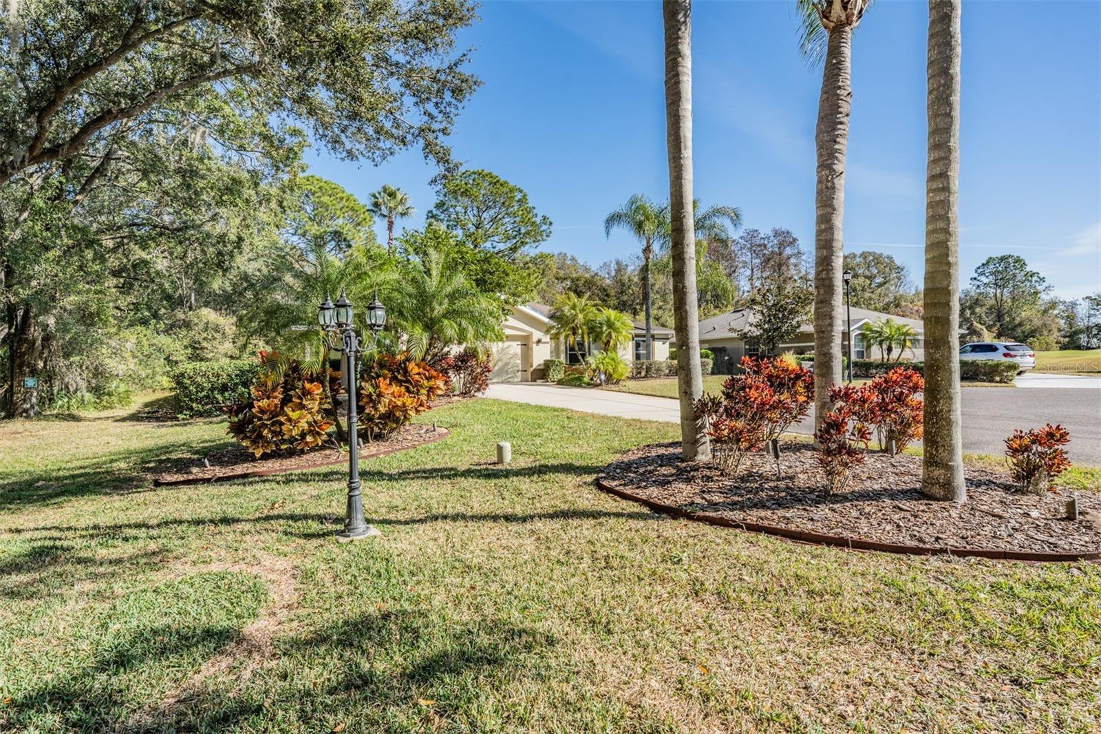 10133 COLLAR DR, SAN ANTONIO, FL, 33576