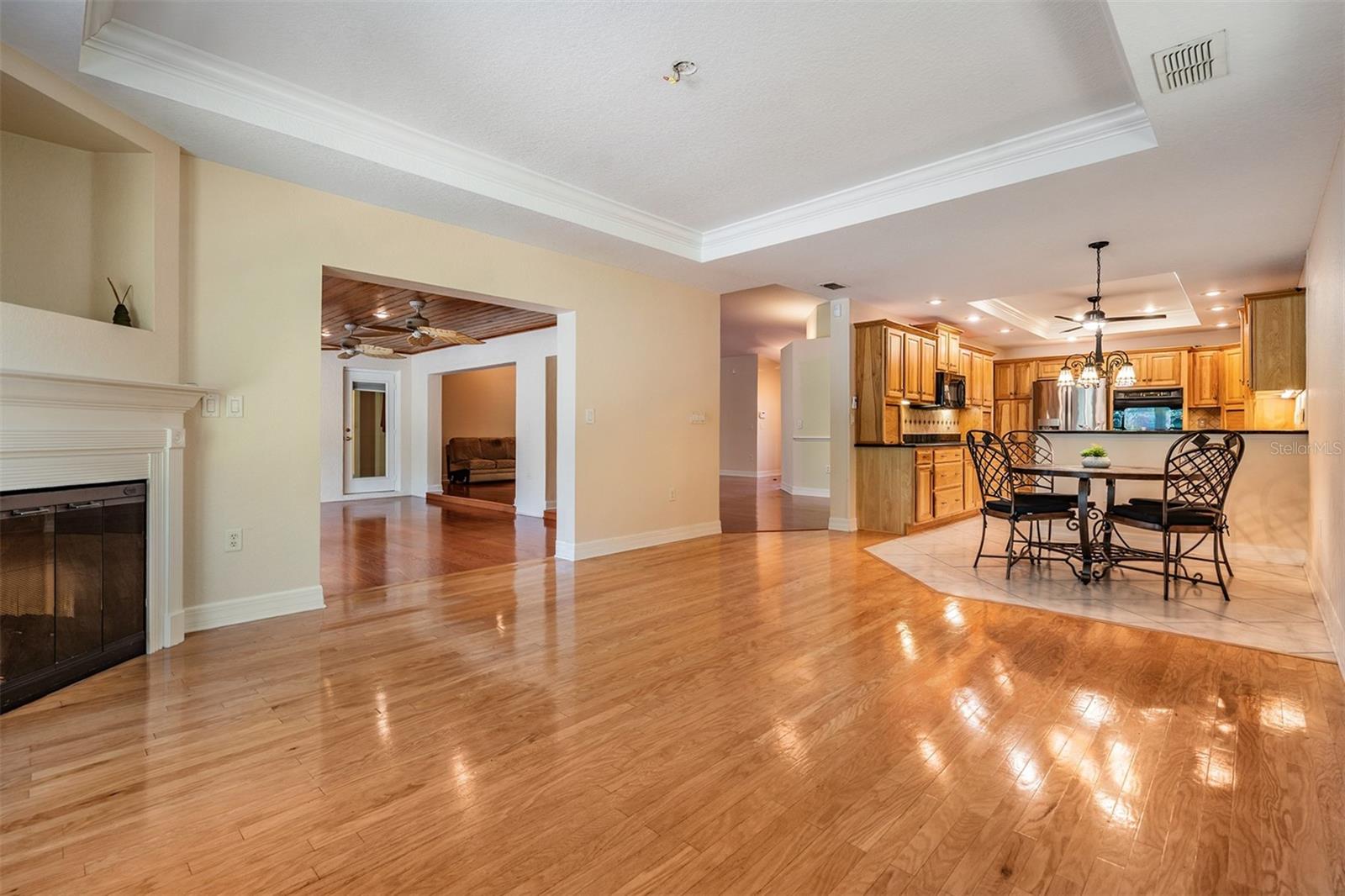 10133 COLLAR DR, SAN ANTONIO, FL, 33576