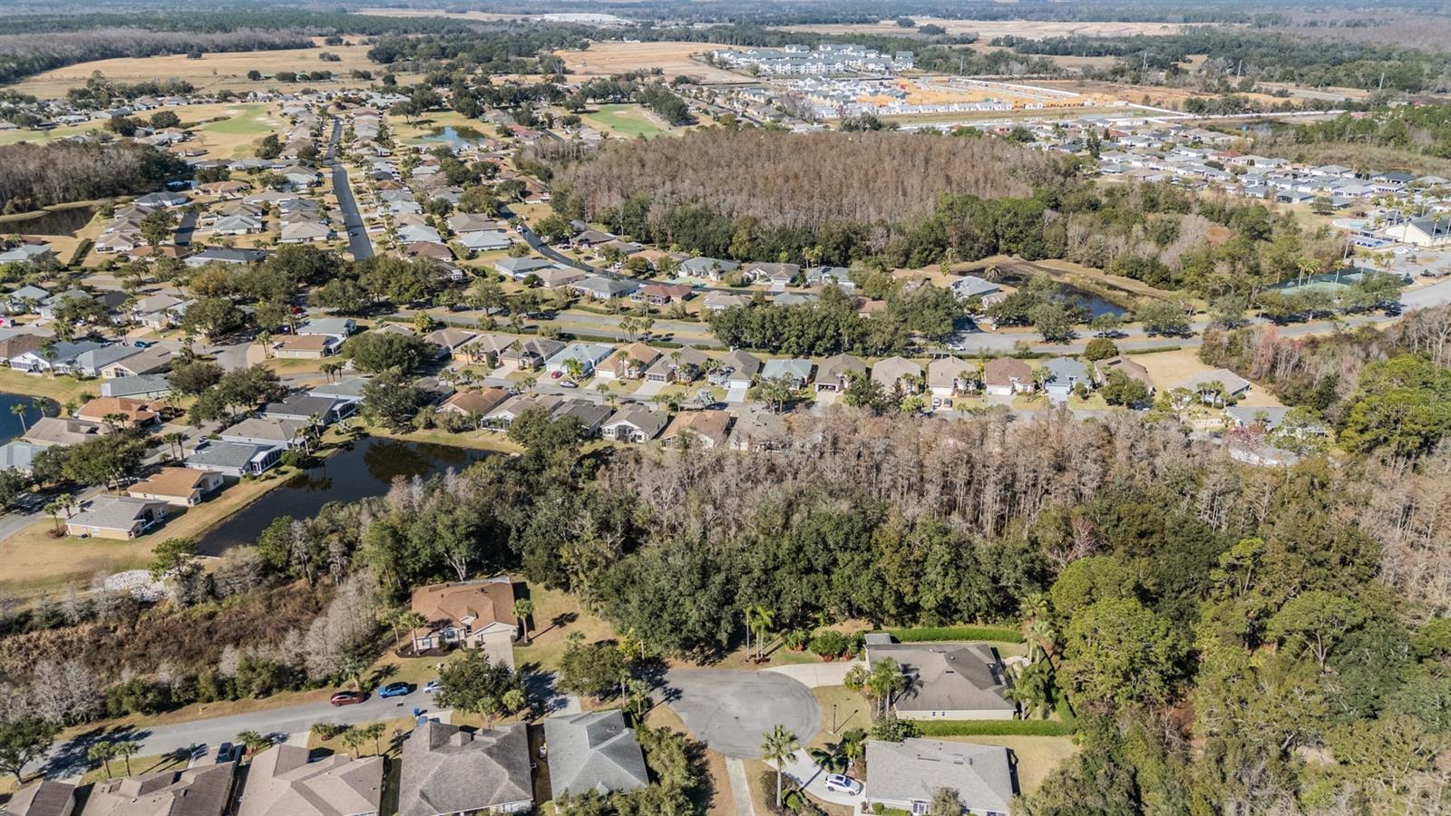 10133 COLLAR DR, SAN ANTONIO, FL, 33576