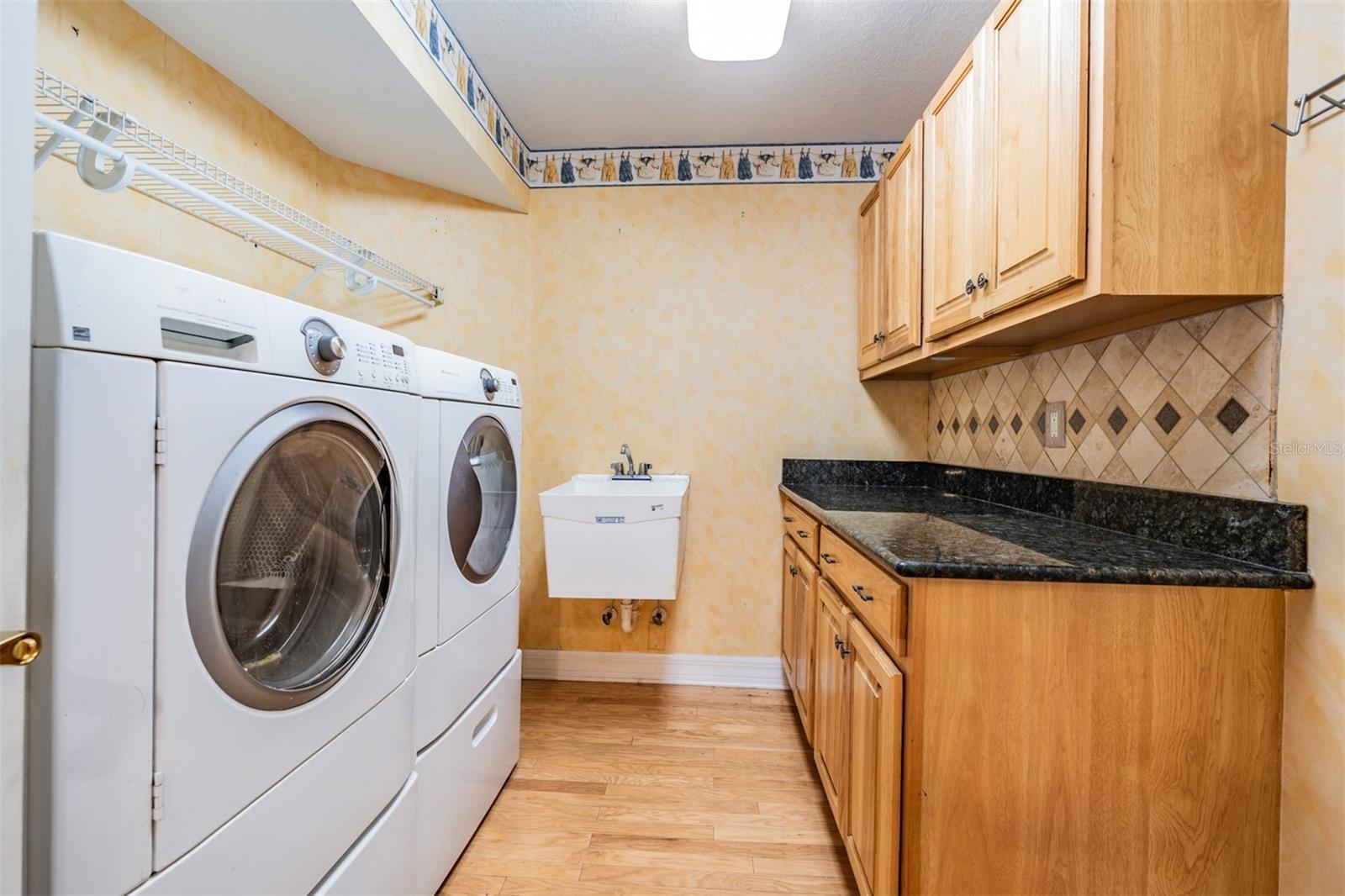 10133 COLLAR DR, SAN ANTONIO, FL, 33576